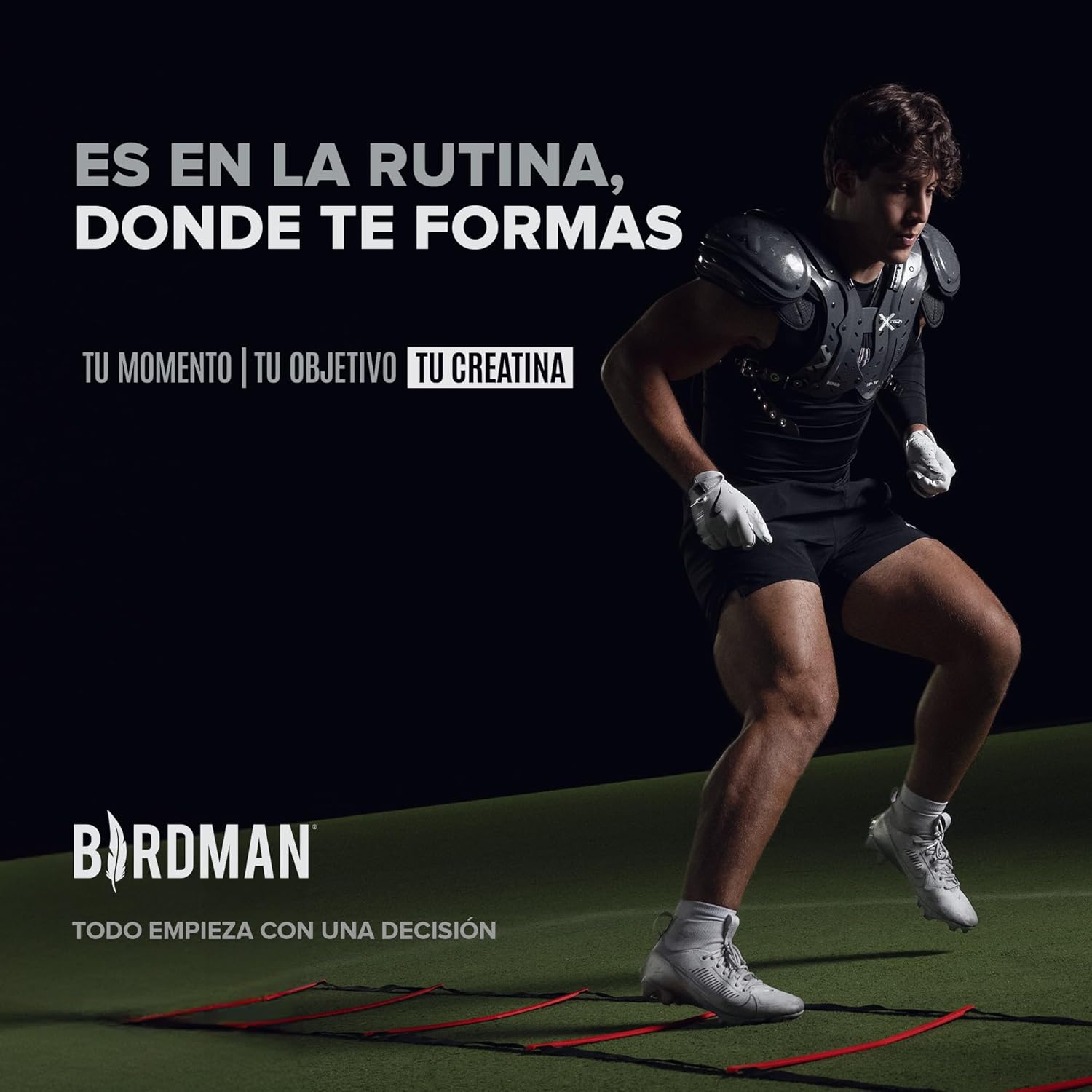 BIRDMAN Creatina Monohidratada de Alta Pureza En Polvo Sin Sabor, Preworkout, Alto Rendimiento | 90 Servicios | 450g.