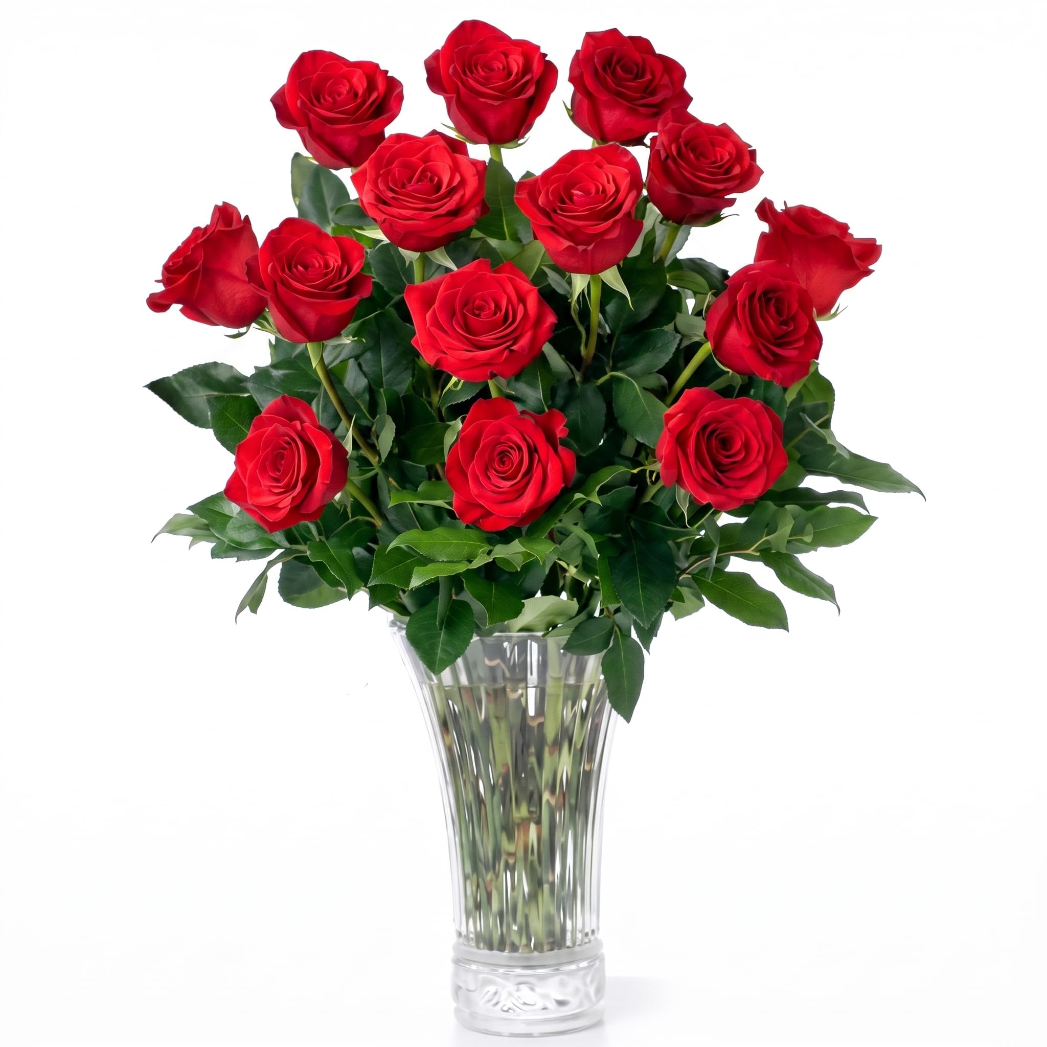 Aquarossa Farms – Fresh Cut Flowers for Delivery, Gifts for Graduation, Birthday, Anniversary, or Just Because – 12 Red Fresh Roses