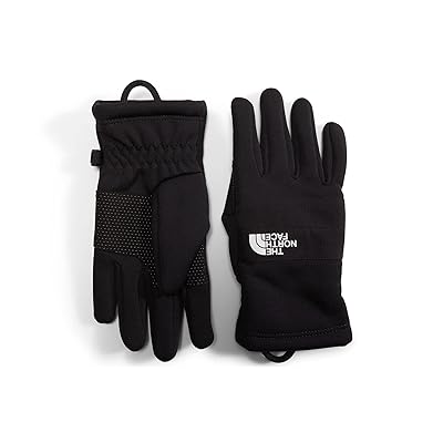 The North Face Kids Sierra Etiptm Gloves (Little Kids/Big Kids) Over Mits Gloves TNF Black