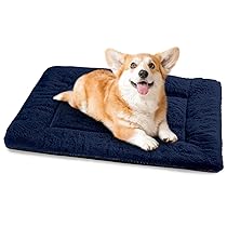 Baodan Cuccia per Cani di Piccola Taglia Lavabile, 75×50 cm Cuscino per Cani Soffice con Fondo Antiscivolo, Cuccia per Cani per Piccole e Medie Taglie, Blu Marino