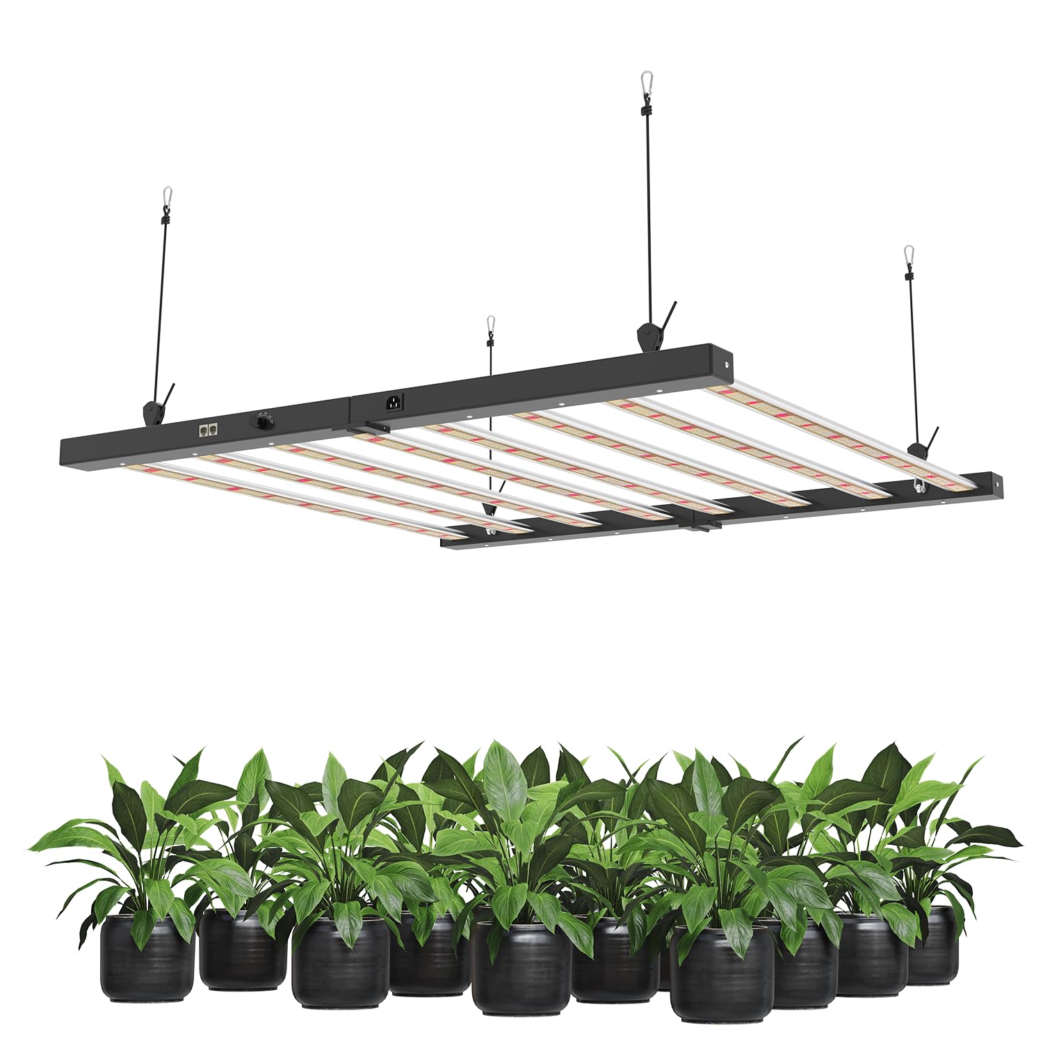 BAYLABS LED Grow Light 
