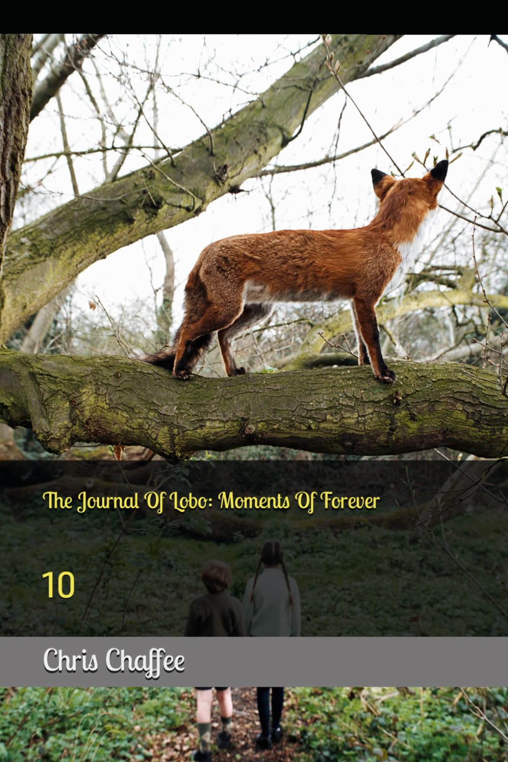 The Journal Of Lobo: Moments Of Forever: 10