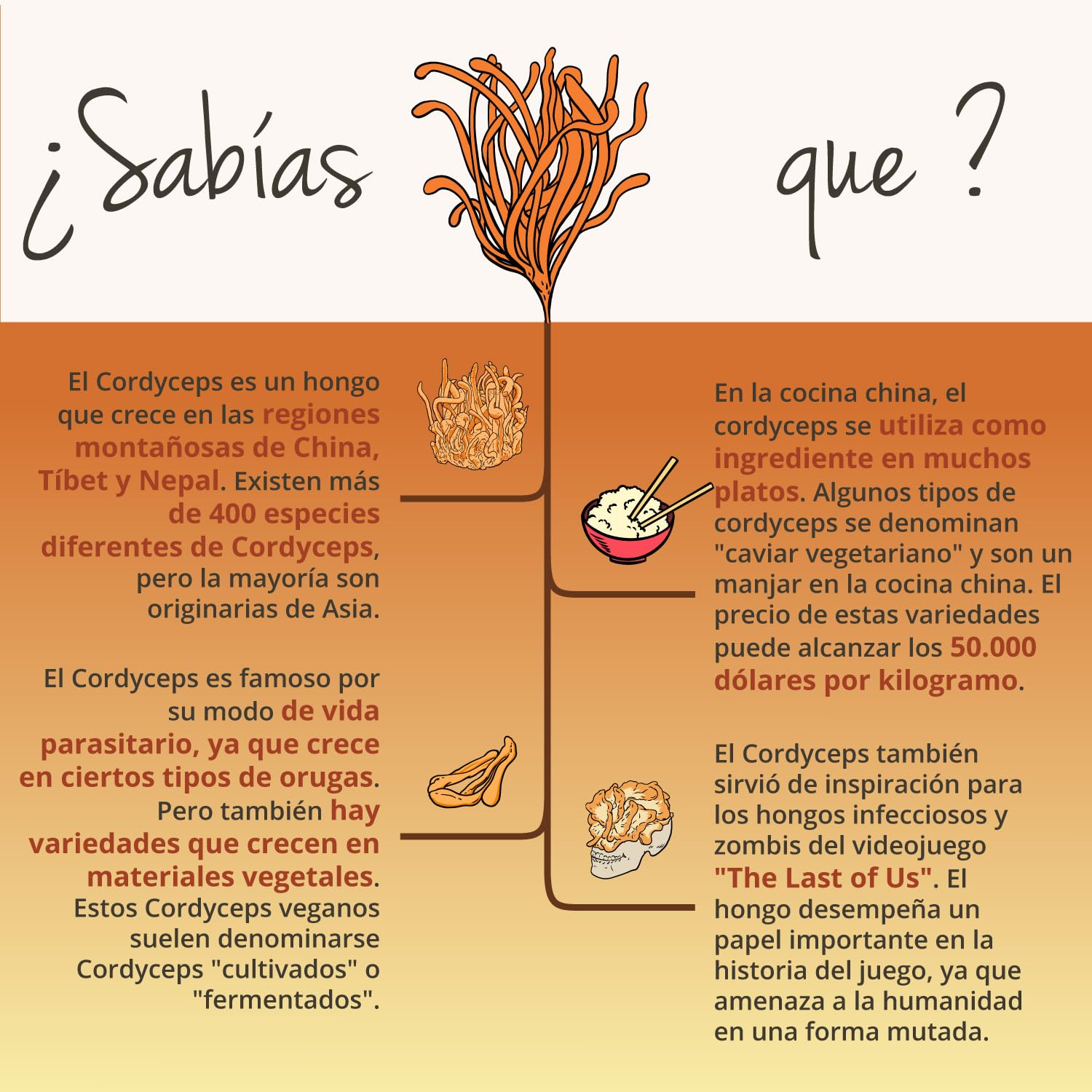 Cordyceps Sinensis Ecológico | 13000 mg (20:1) | Extracto Real CS-4 | 40% Polisacáridos + 0,5% Adenosina | 60 Cápsulas para 2 Meses | Energizante y Vigorizante | Sin Aditivos y Vegano | Vegavero