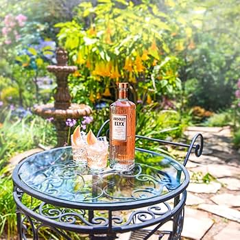 Absolut Vodka Deck 3デック Absolut Vodka | LCBO