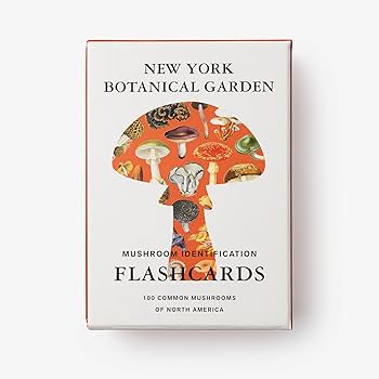 洋書 Mushrooms 71L5NYihVSL._UF1000,1000_QL80_.jpg