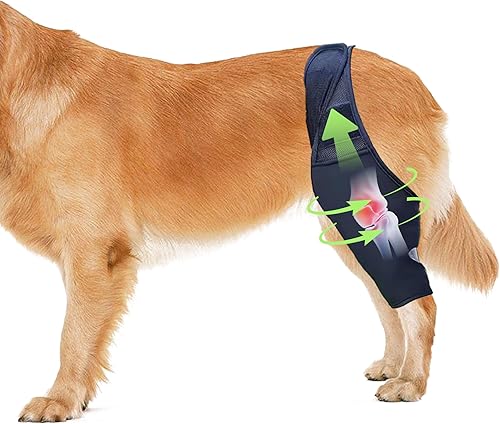 Miniatura 1 de Rodillera para perros, soporte de dislocación ajustable para la cadera, mantiene las articulaciones calientes y estabilizador, alivio del dolor,