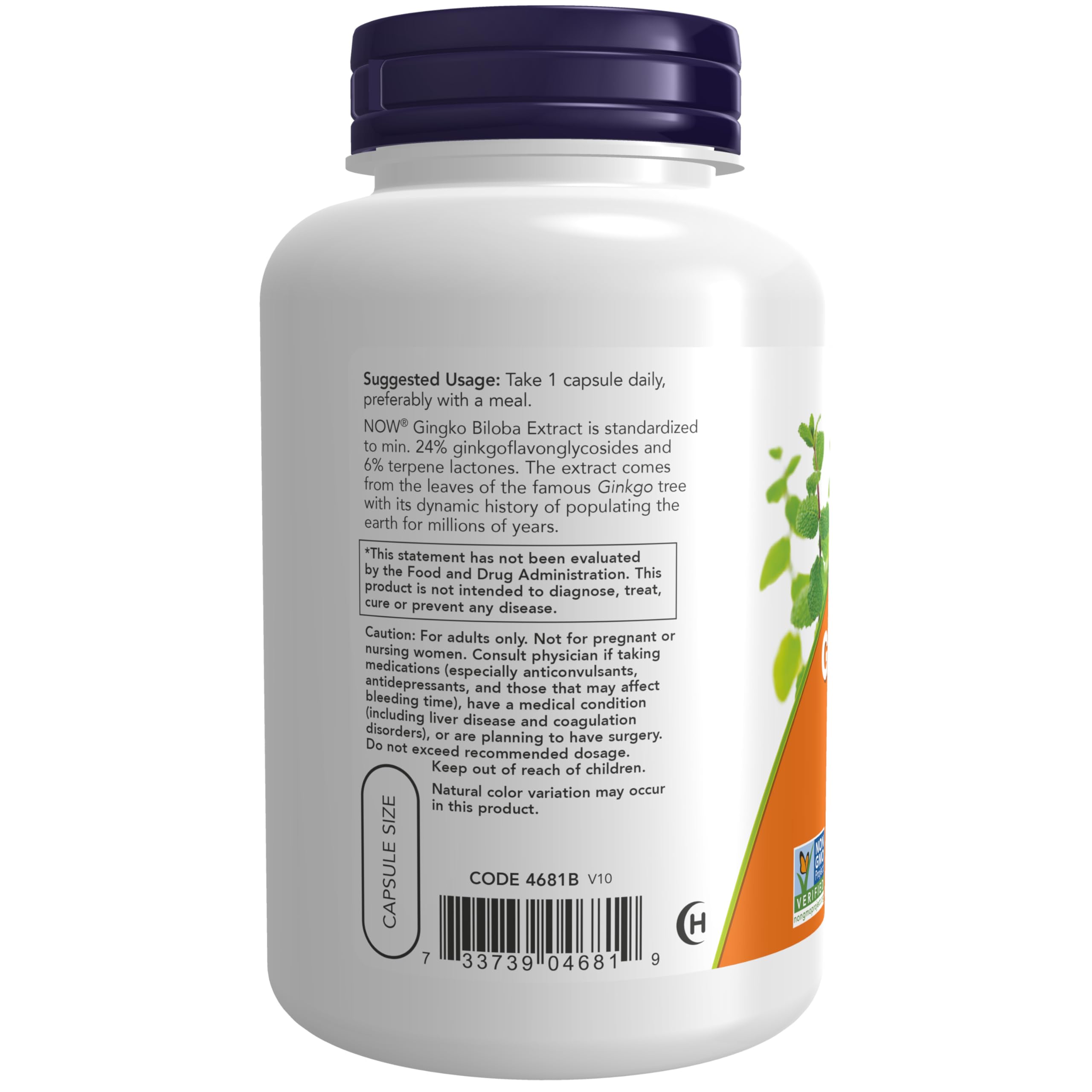 NOW Supplements, Ginkgo Biloba 120 mg, Double Strength, 200 Veg Caps — Amazon image 3