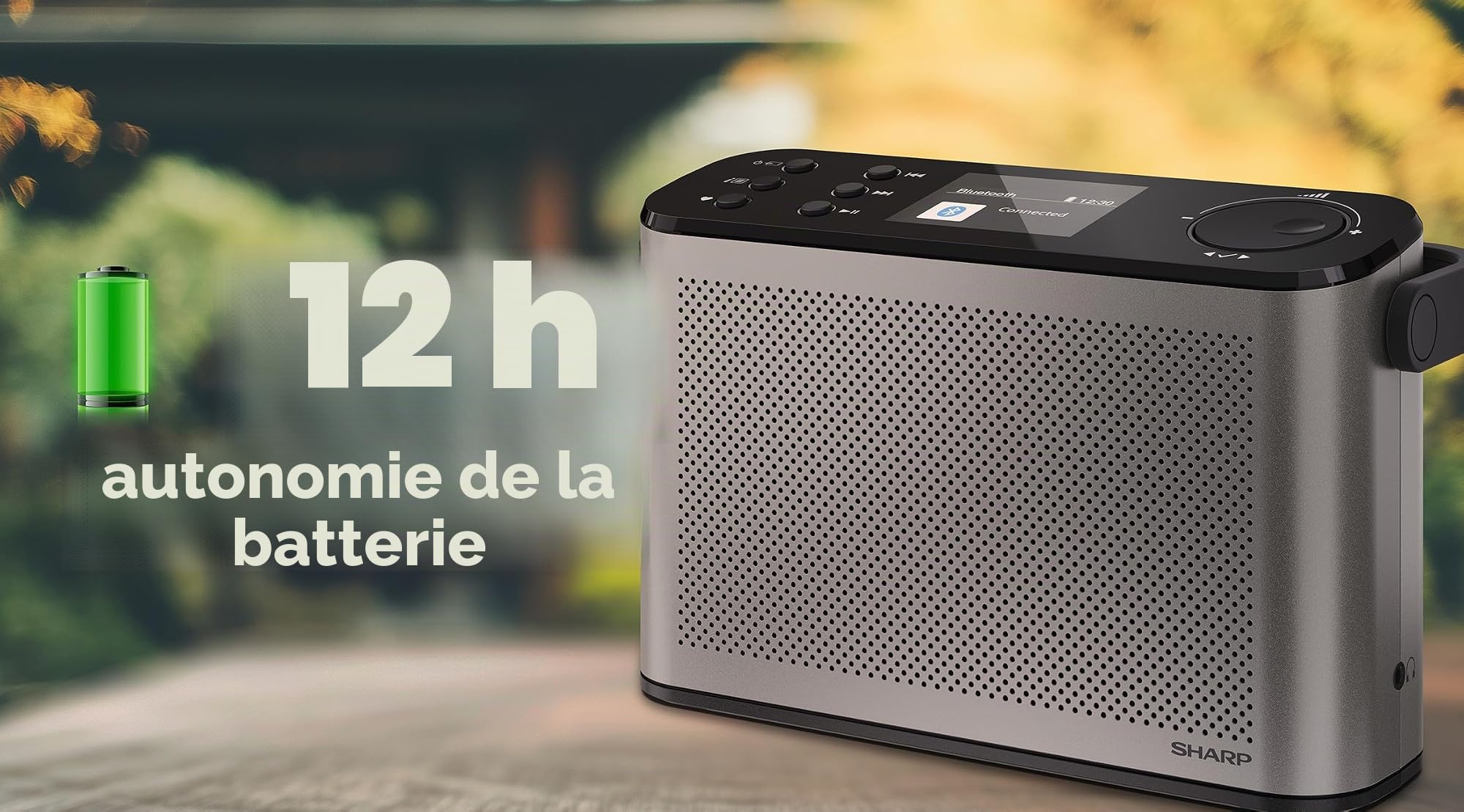 Sharp DR-P540(GY) Radio numérique Portable Osaka, Dab+, Dab et FM avec RDS, Bluetooth 5.3, écran Couleur 2,4", Alimentation USB-C ou Batterie au Lithium intégrée, Haut-Parleur intégré, Connexion