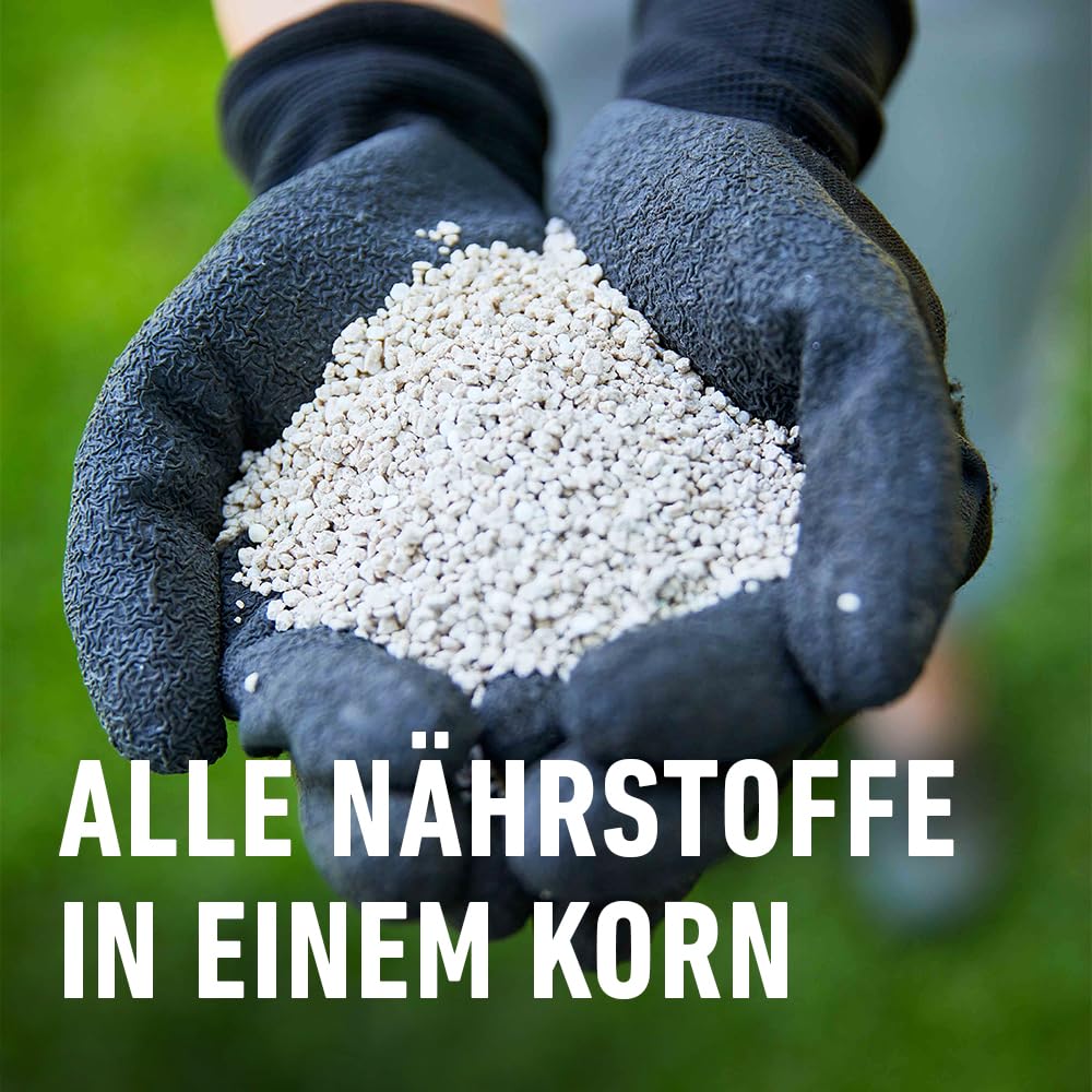 COMPO Rasendünger mit 3 Monaten Langzeitwirkung für Frühjahr und Sommer - tierfreundlich - Premium Rasen-Langzeitdünger - 20 kg für 800 m²,