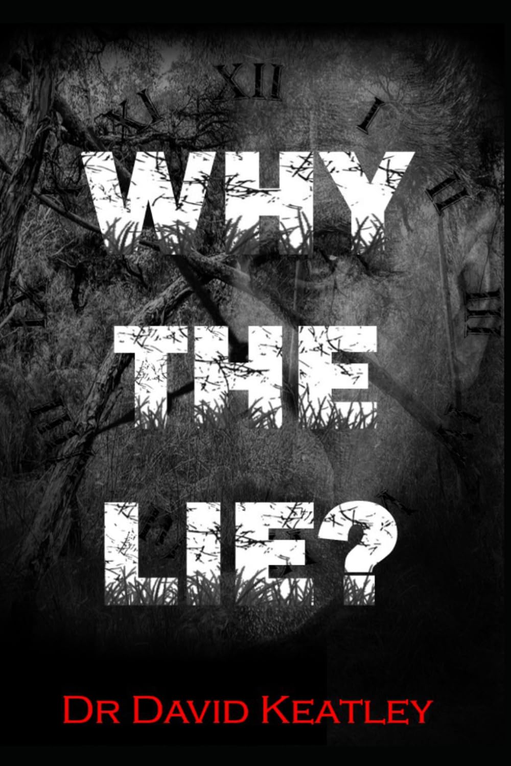 Why the lie?: Beyond deception detection