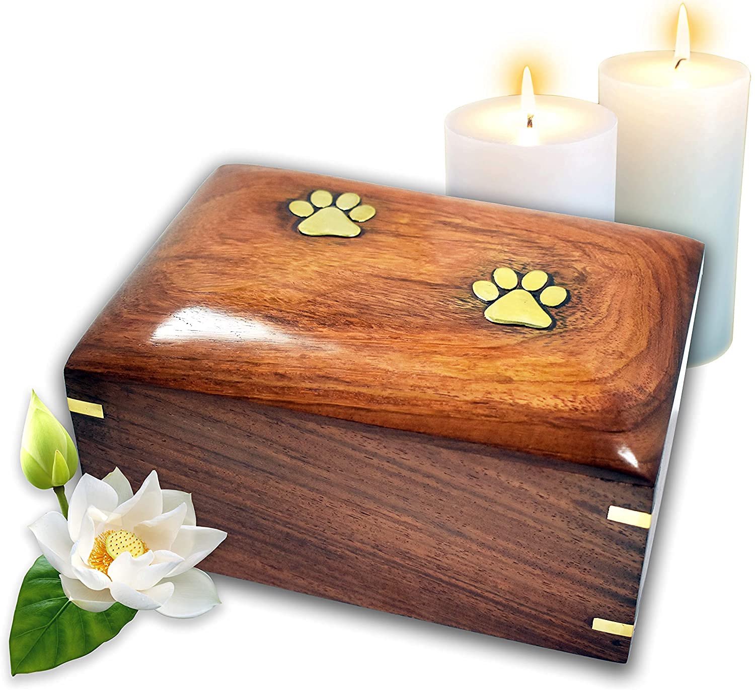 Lindia Memorial Beautiful Wooden Pet Urn with Brass Paw Design - Rosewood Pet Cremation Urn - Perfect Memorial Pet Urns for Dog and Cat Ashes