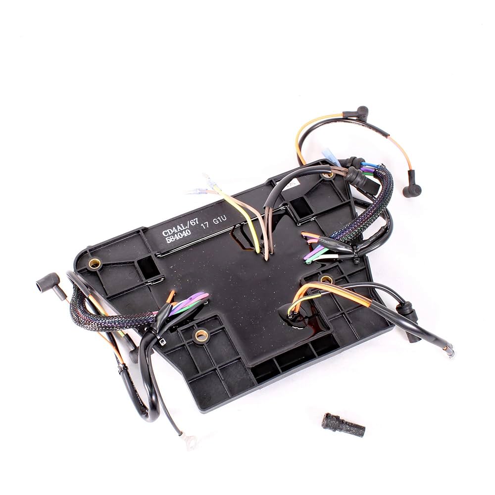 Amazon.com: Johnson Evinrude OMC New OEM Ignition System