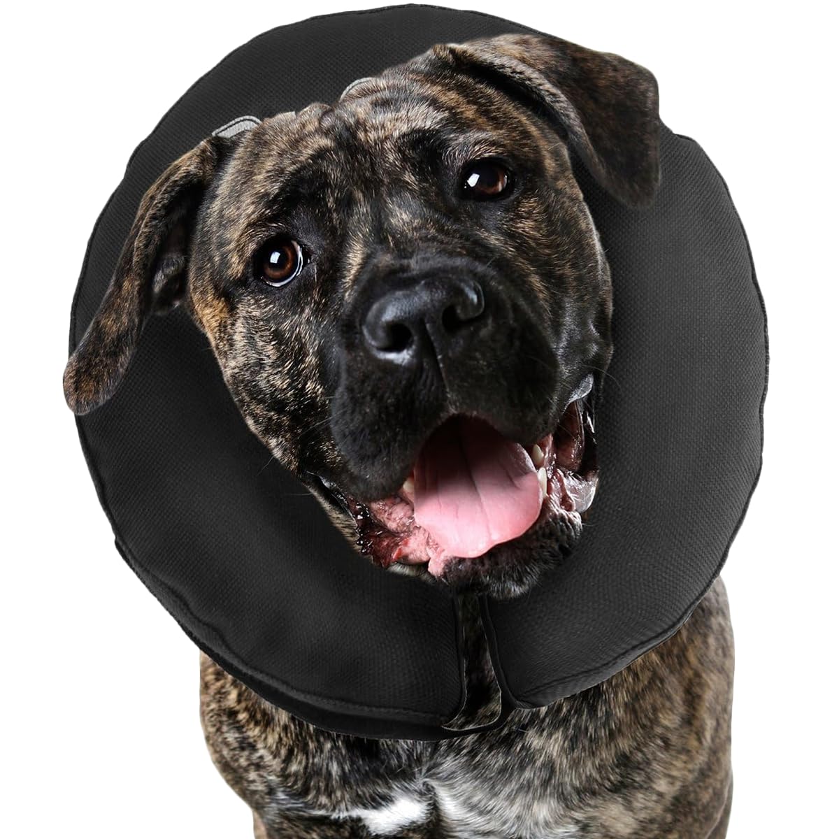 ZenPet Pro Collar Comfy Pet E-Collar for Dogs XX-Large