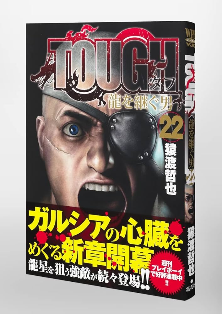 ＴＯＵＧＨ龍を継ぐ男 TOUGH 龍を継ぐ男 32／猿渡 哲也 | 集英社 ― SHUEISHA ―