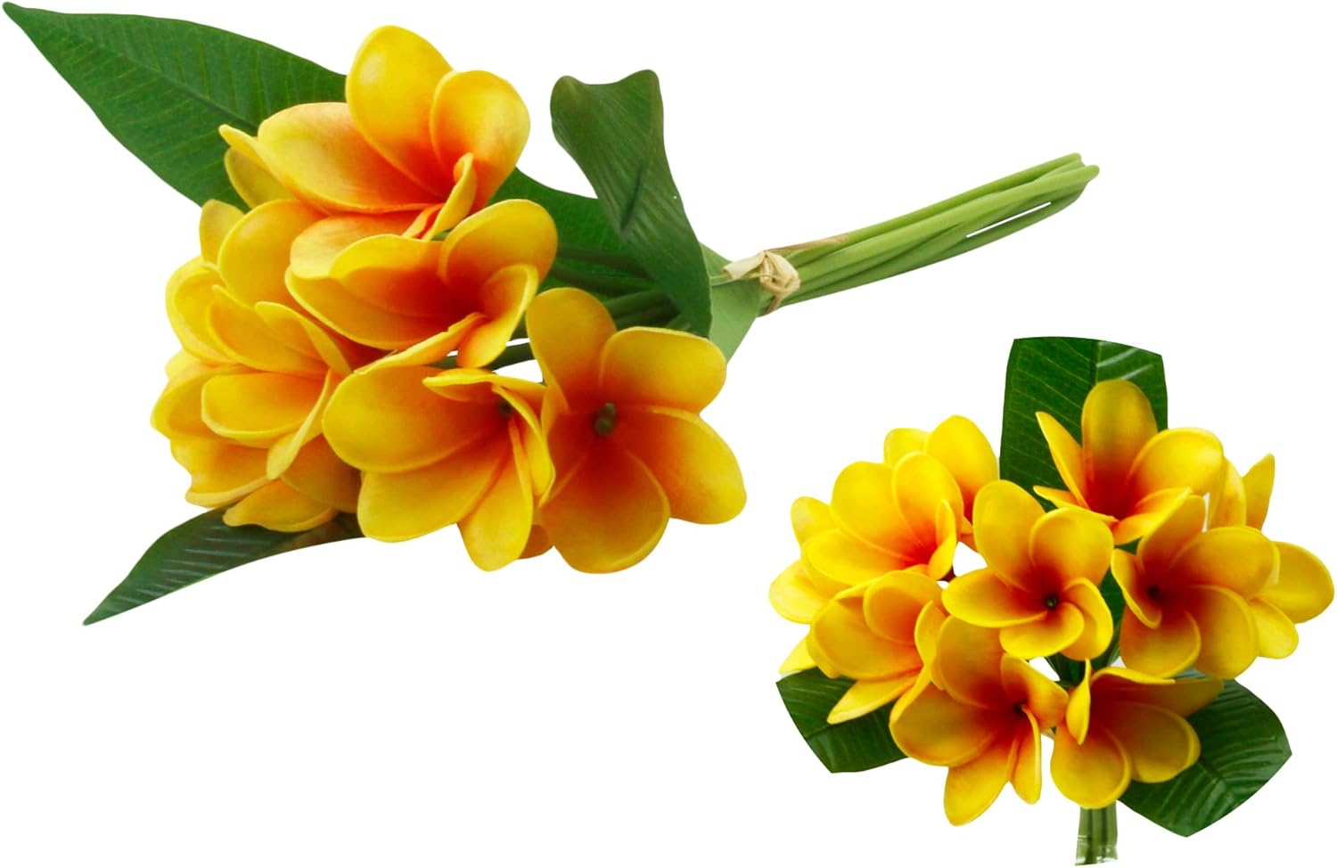 Angel Isabella Pack of 2 Bundles-Lifelike Real Touch Artificial Frangipani Raffia Tied Home Kitchen Wedding Centerpiece DIY Bouquet Corsage Boutonniere(Blush Pink Yellow Center)