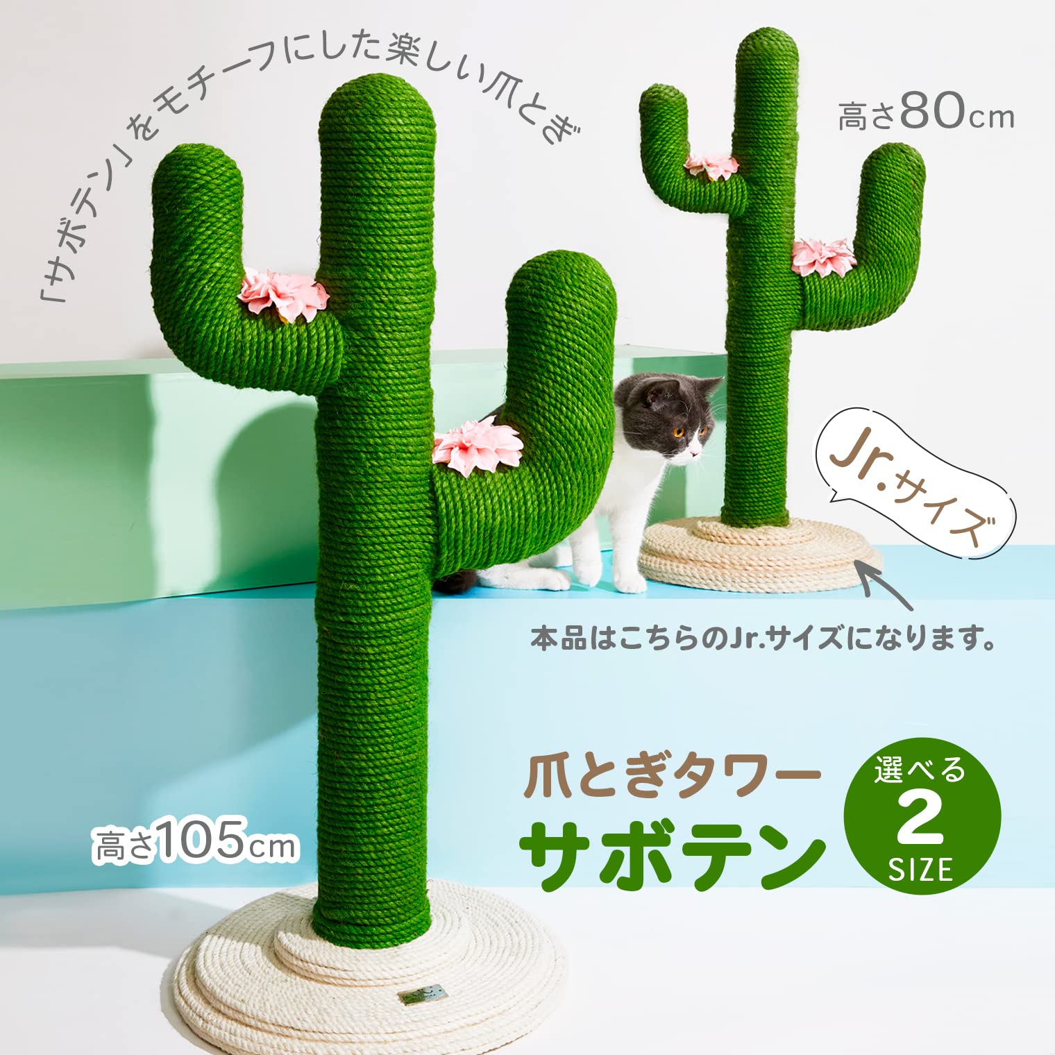 Amazon.co.jp: ペットアイ 爪とぎタワー サボテン Jr. 37×37×高さ80cm