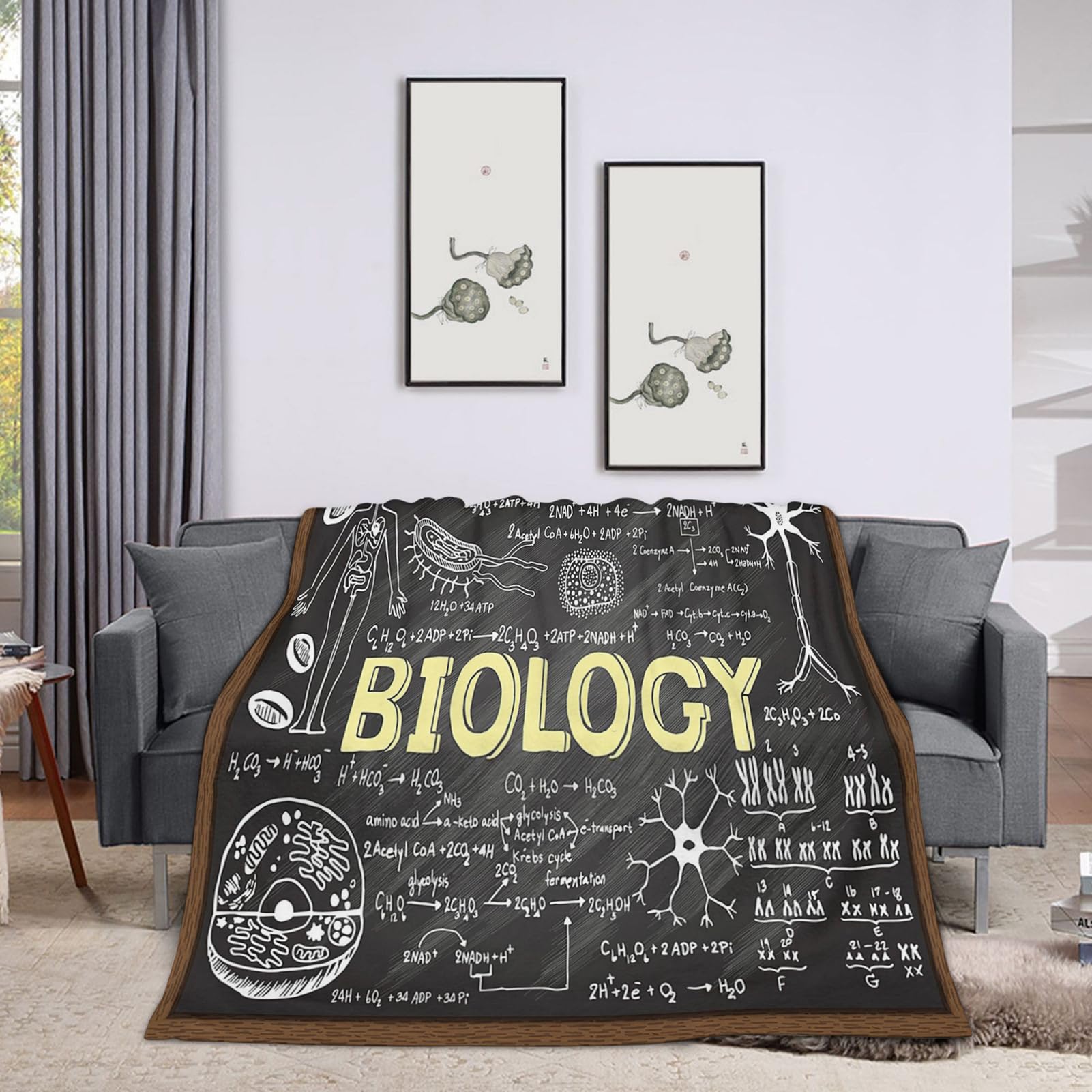 Throw Blanket 60x80 Inch,Biology Education Cozy Soft Lightweight Fuzzy Flannel Blanket Suitable for Couch Bed Sofa Living Room in All Seasons