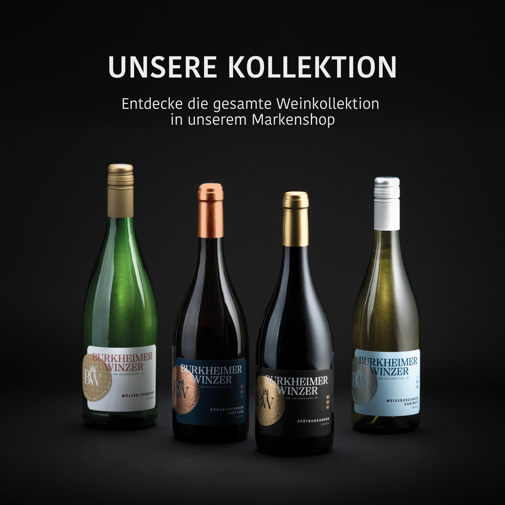 Burkheimer Spätburgunder trocken Grande Reserve - Rotwein Auslese aus dem Schlossgarten mit Kirsch- & Waldbeeraromen - Stolz Kollektion - vom Kaiserstuhl (3 x 0,75l)
