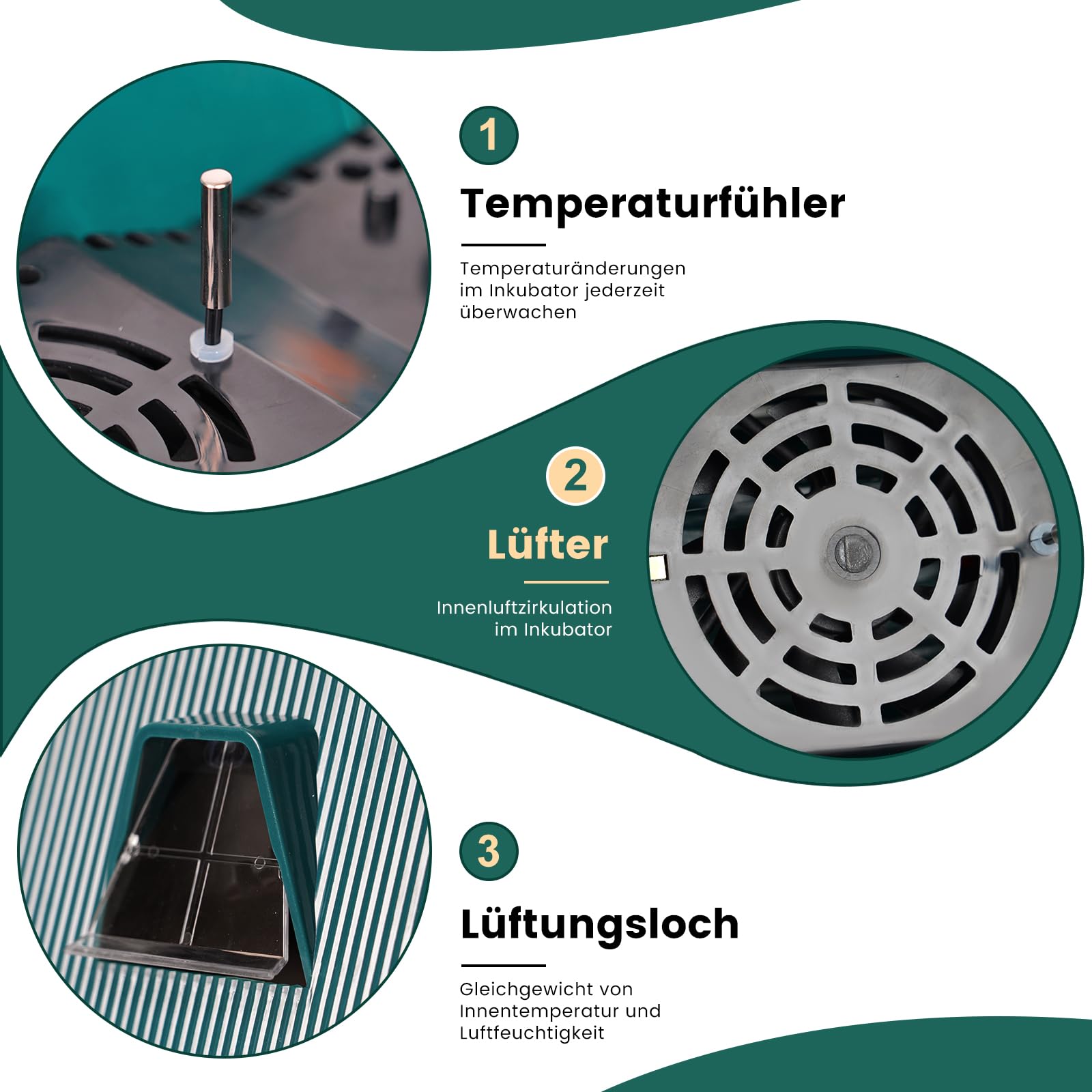 10 Couveuse à œUfs Avec Retournement Automatique Des œUfs et ContrôLe de L'Humidité, Couveuse à œUfs de Poule Pour L'Incubation des œUfs de Poule, de Canard, de Caille et D'Oiseau