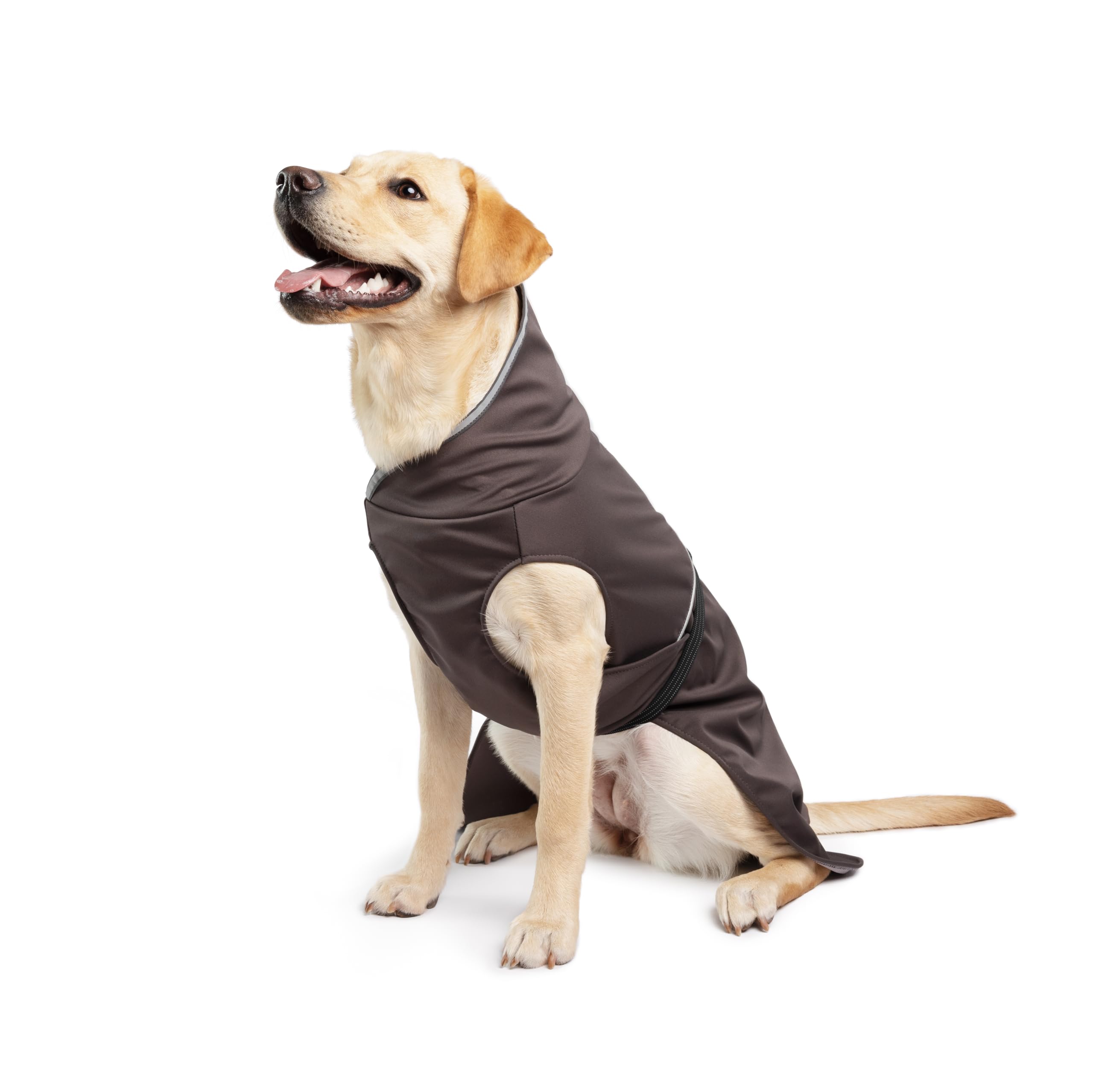 Goldpaw - Chaqueta impermeable para perro, abrigo impermeable para mascotas para protección en todo tipo de clima, ajuste ajustable y elegante ropa de abrigo canina, frijol negro, talla 18
