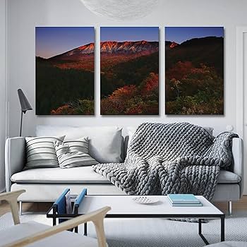 Amazon.co.jp: 3枚 鳥取県 鍵掛峠 朝焼けに染まる大山の南壁 絵画
