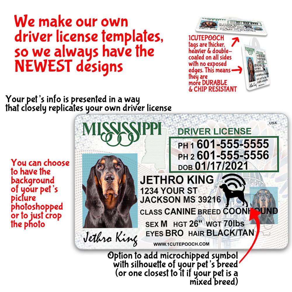 Do You Need A Dog License In Ontario