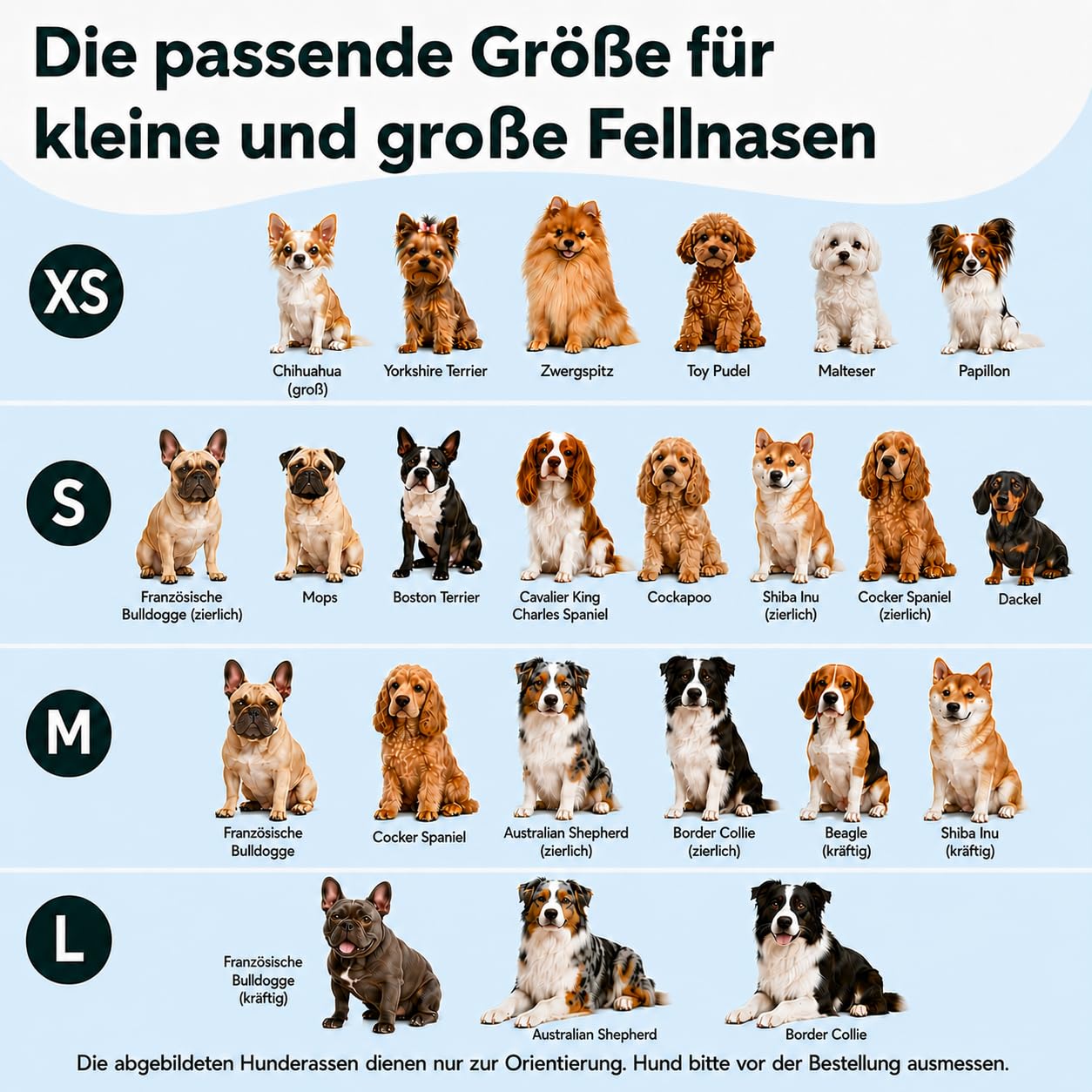 MAGGIE & COOPER Juego de correas para perros – Diseño Hawaii – 5 piezas: collar, arnés, correa, lazo, dispensador de bolsas de excrementos – 4 tamaños – Caja de regalo (L)
