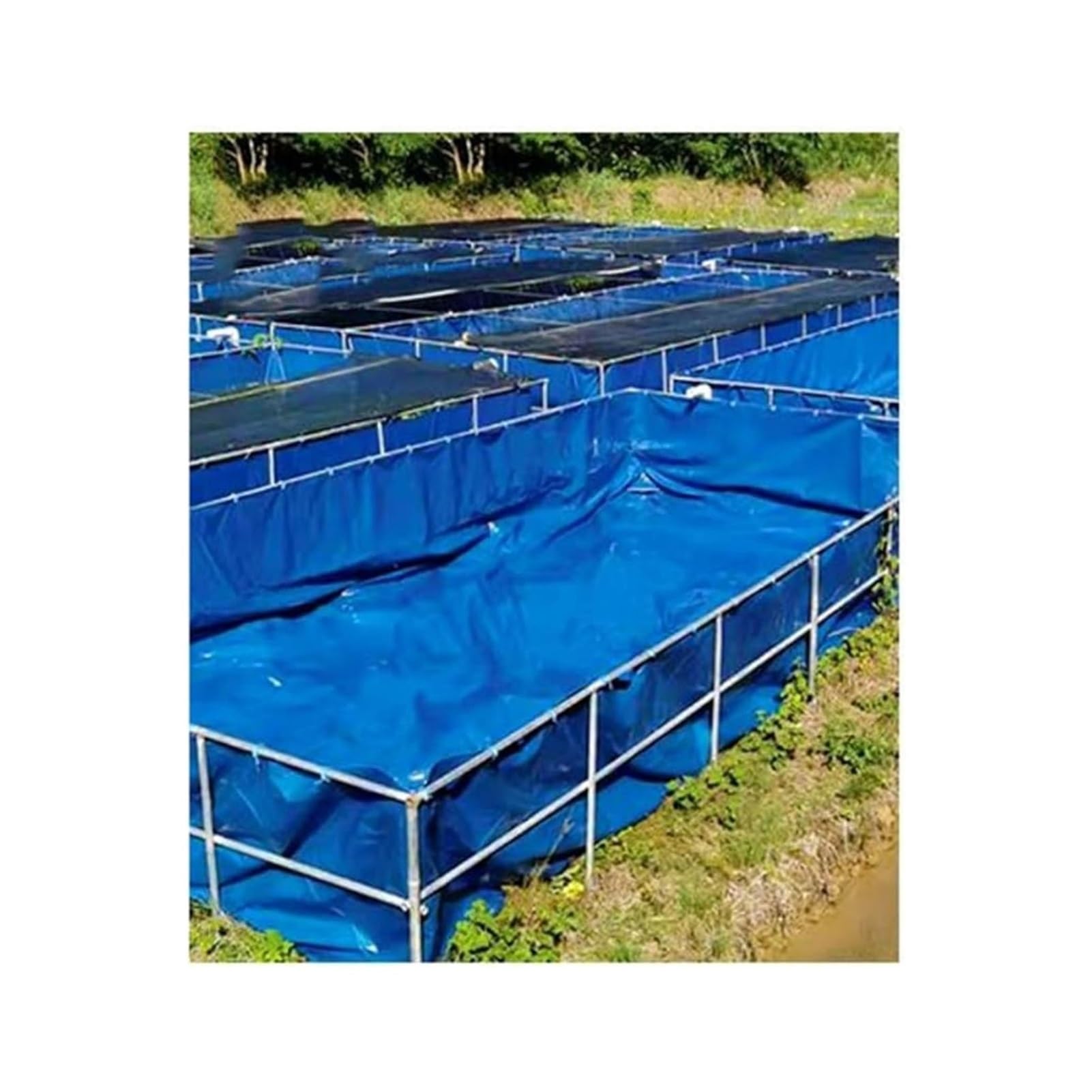 Catfish Farm Above Ground Tanks A Guide To Fish Farming In South
