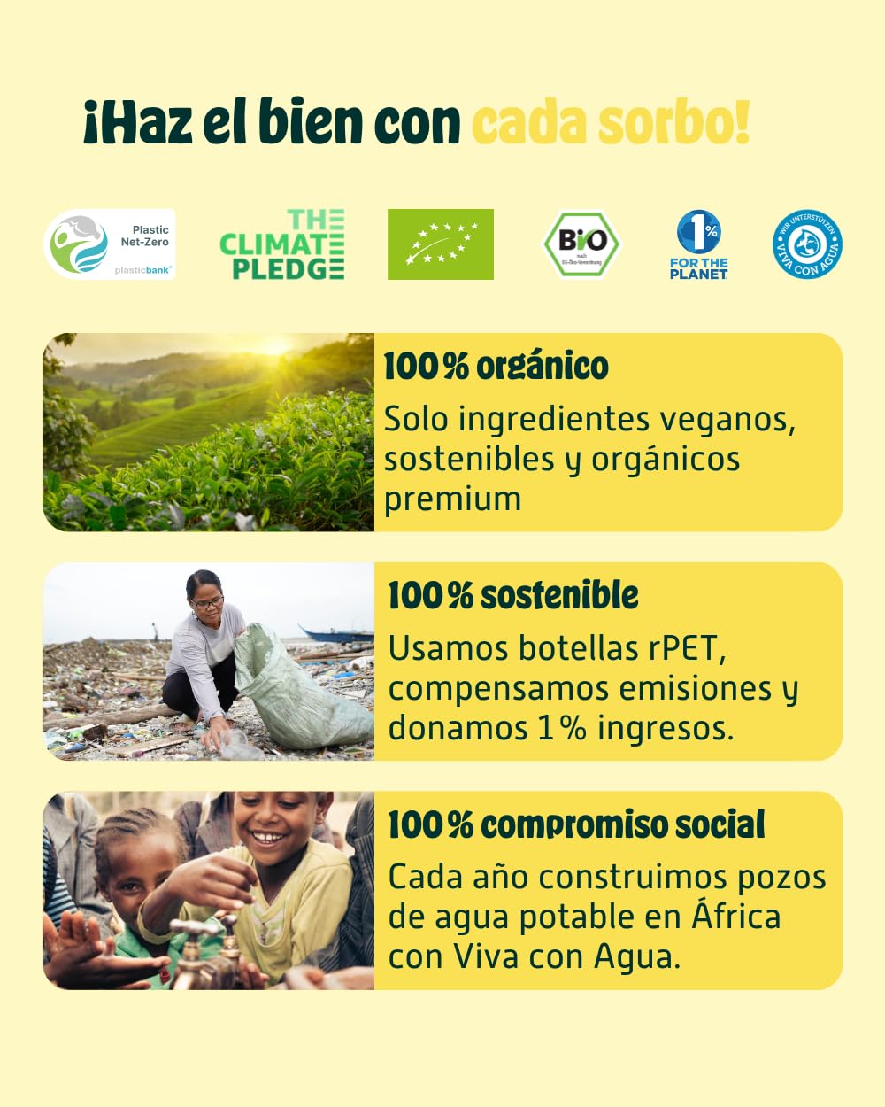 KOMBUCHERY® Kombucha de Jengibre Ecológico Crudo | 36 x 400 ml | Té fermentado con cultivos vivos | Bajo en azúcar y calorías | Sin pasteurizar, probiótico