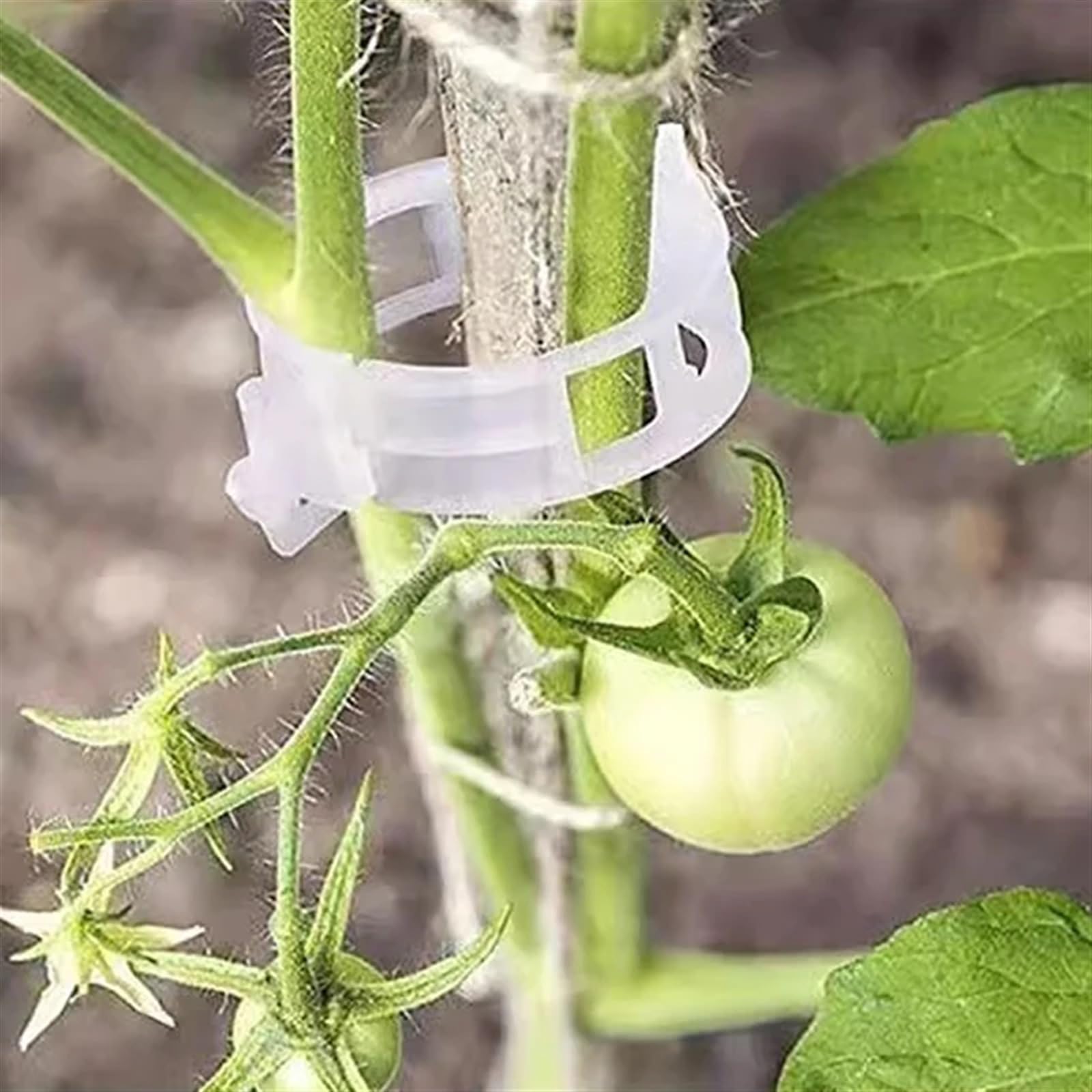 Mollette di sostegno per piante da giardino, Clip di supporto for piante in PP da 3 cm/1,8 pollici riutilizzabili for innesti di vite 50/100/150/200 pezzi(150pc)