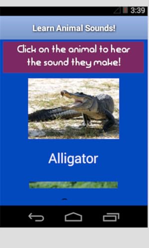 Animal Sounds for Children