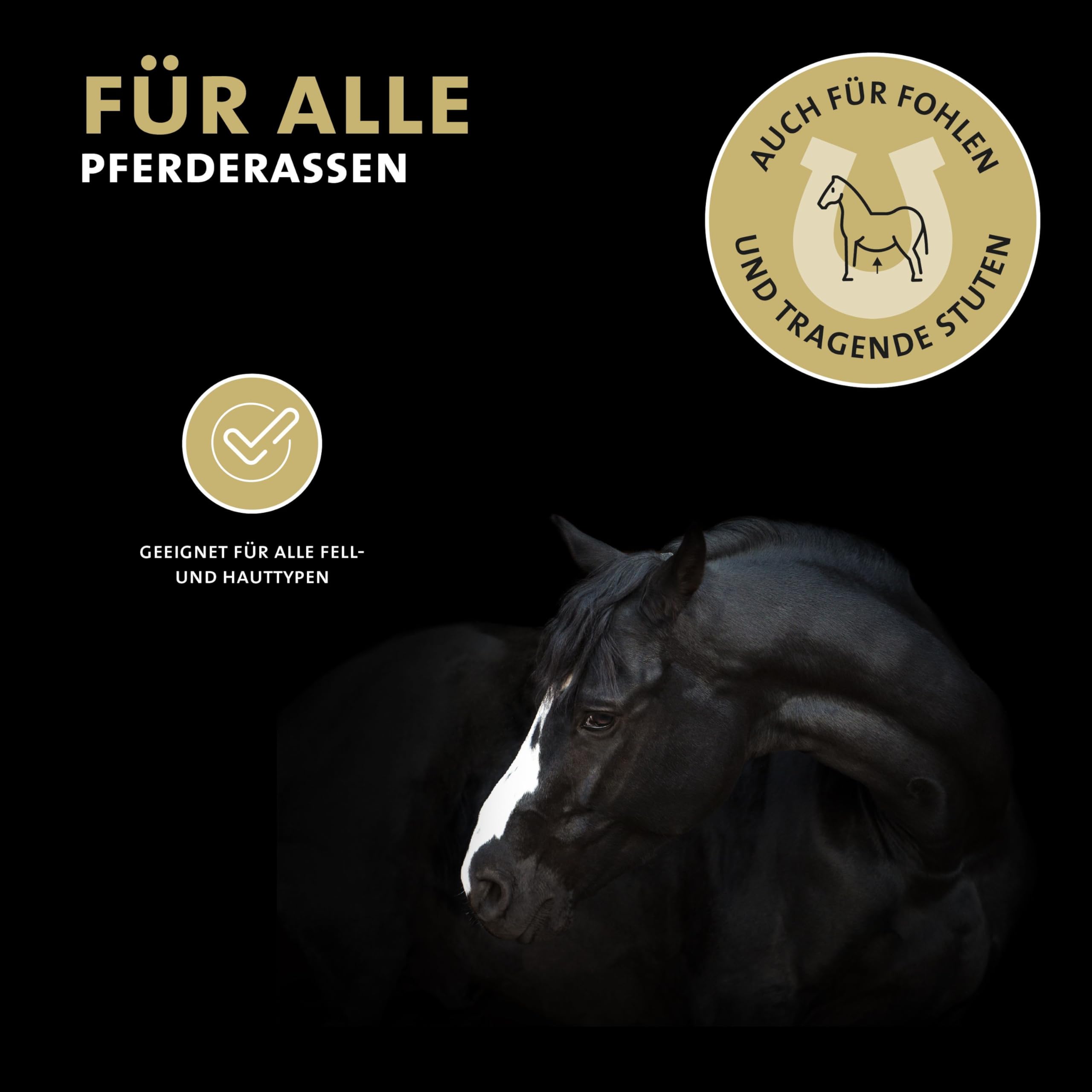 Peticare horse shampoo - szampon pielęgnacyjny dla wszystkich ras, neutralny ph skóry, łagodny i delikatny, ułatwia rozczesywanie, na splątane włosy - petHorse Care 2015