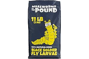 Black Soldier Fly Larvae: Nutrient-Rich Treats for Your Poultry and Wildlife