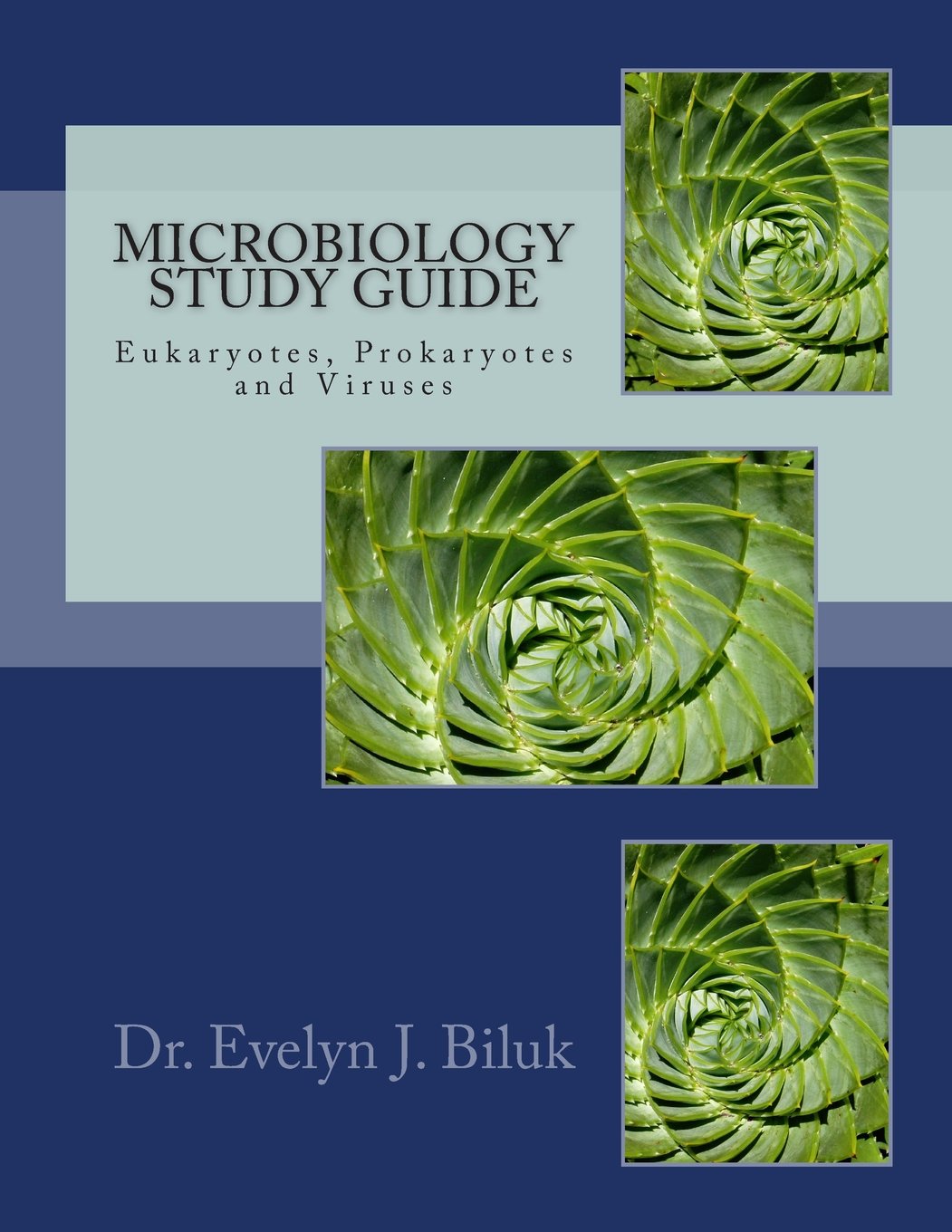 Microbiology Study Guide: Eukaryotes, Prokaryotes and Viruses