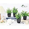 Product Photo 3
