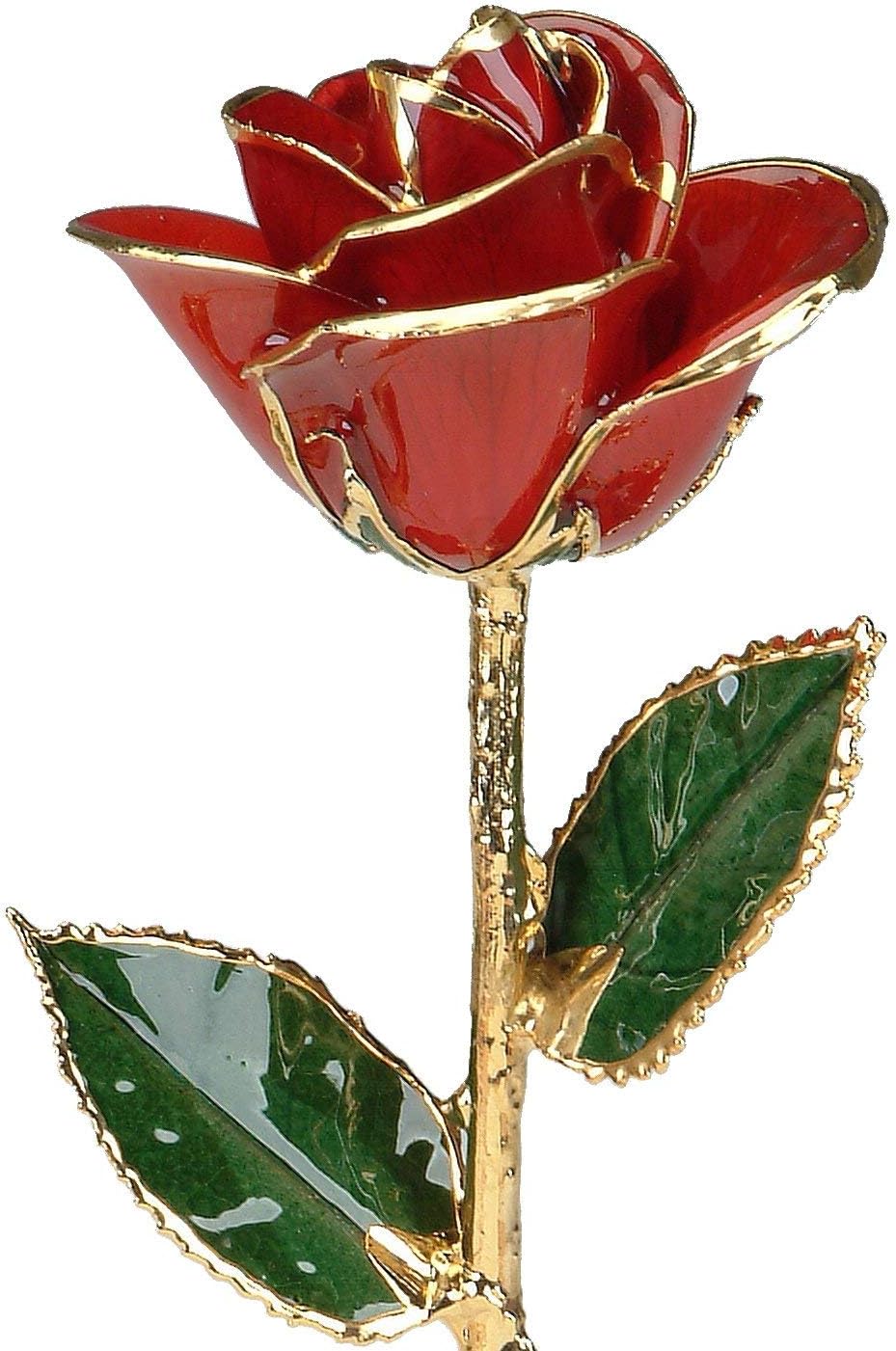 Amazon.com: Red 24k Gold Rose by Living Gold - Real Rose Dipped in Gold ...
