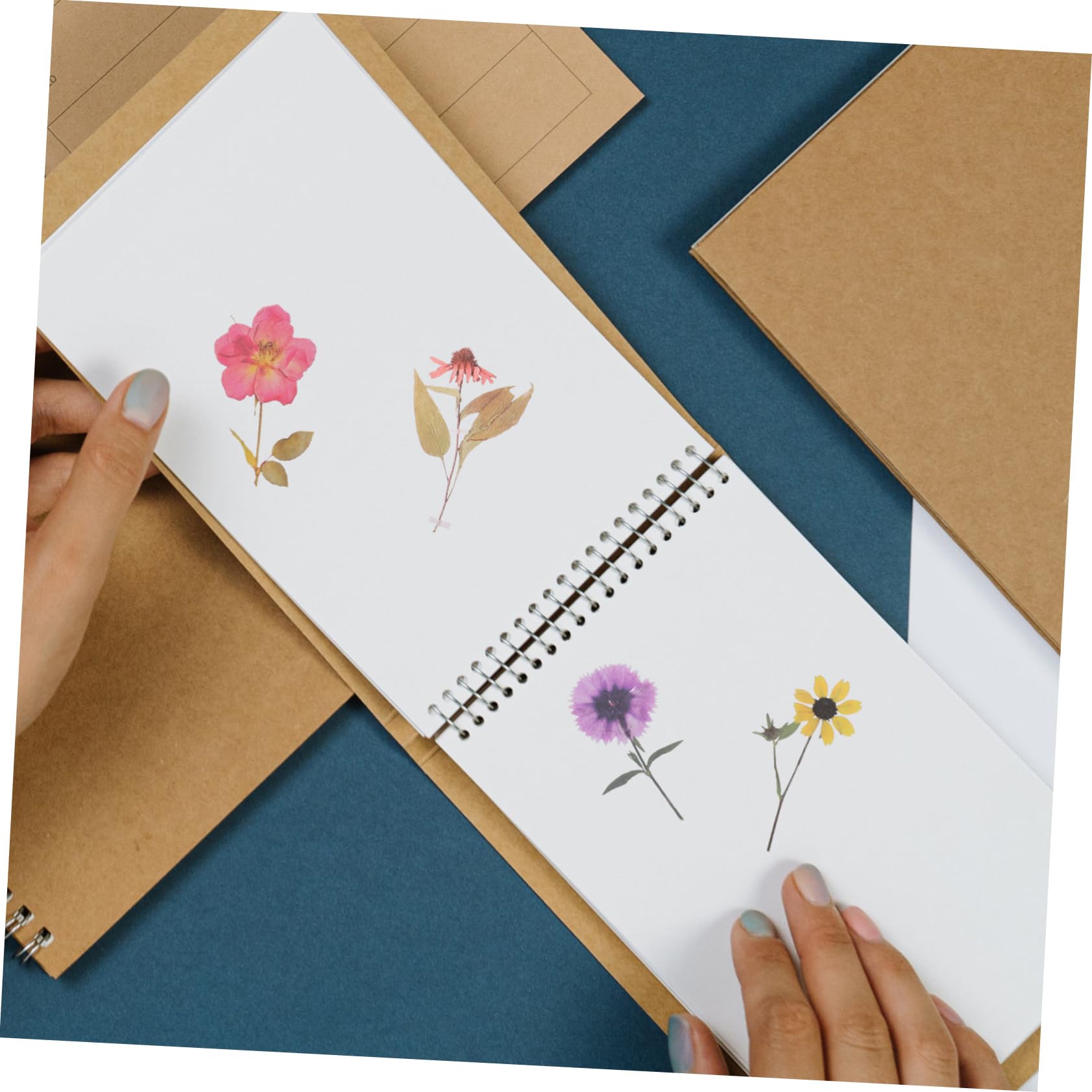 SHINEOFI 18paquets Autocollants Floraux Décoratifs Pack De Stickers Fleurs Séchées Pour Scrapbooking Et Journal Intime Autocollants Esthétiques Pour Et Décoration Personnelle