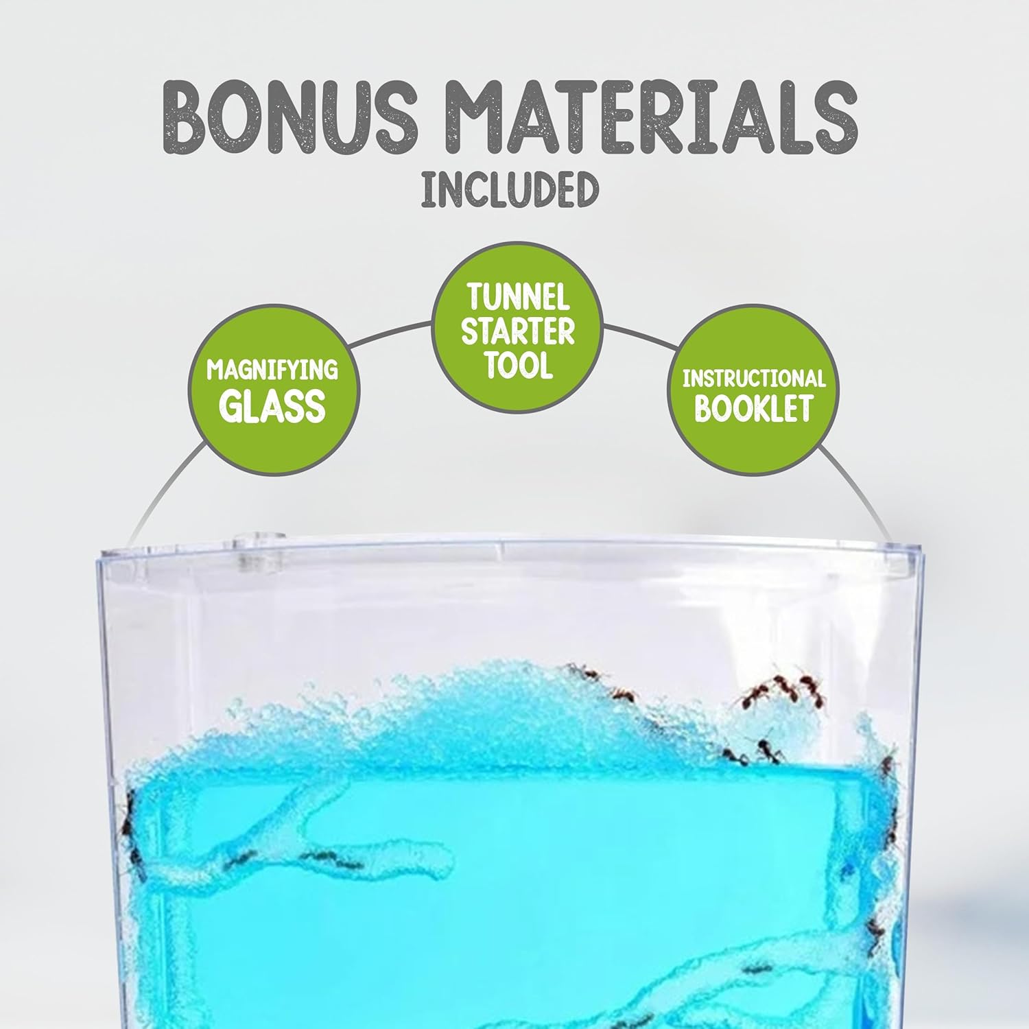 Lighted LED Ant Habitat Kit with 25 Live Ants - Ant Terrarium Complete Set with Clear Nutrient Gel - Perfect for Learning and Fascinating Observation