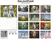 Vista 290 de Razas de Perros 2017