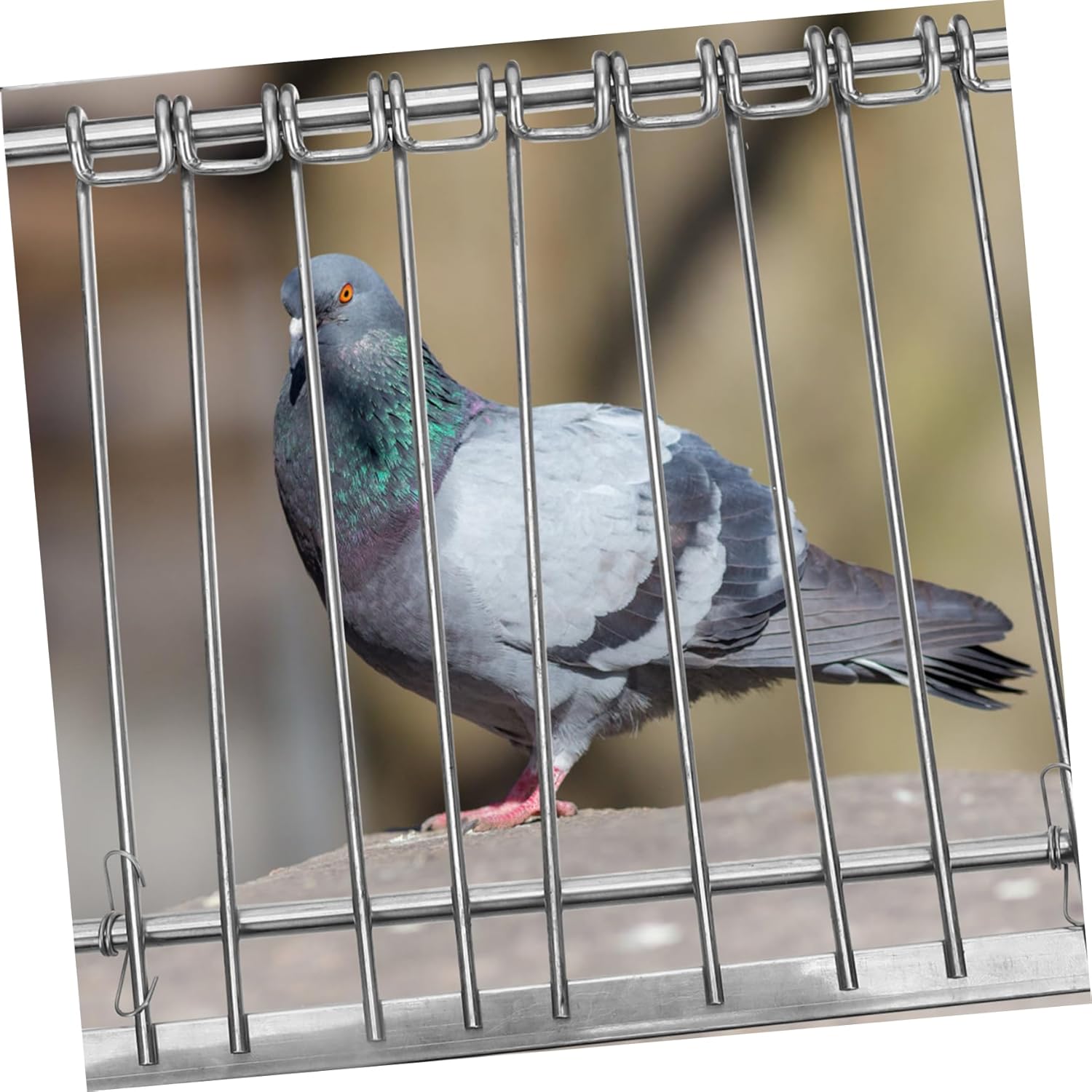 Yardwe Bird Cage Door for Pigeon Stainless Steel House Install for Racing Pigeons