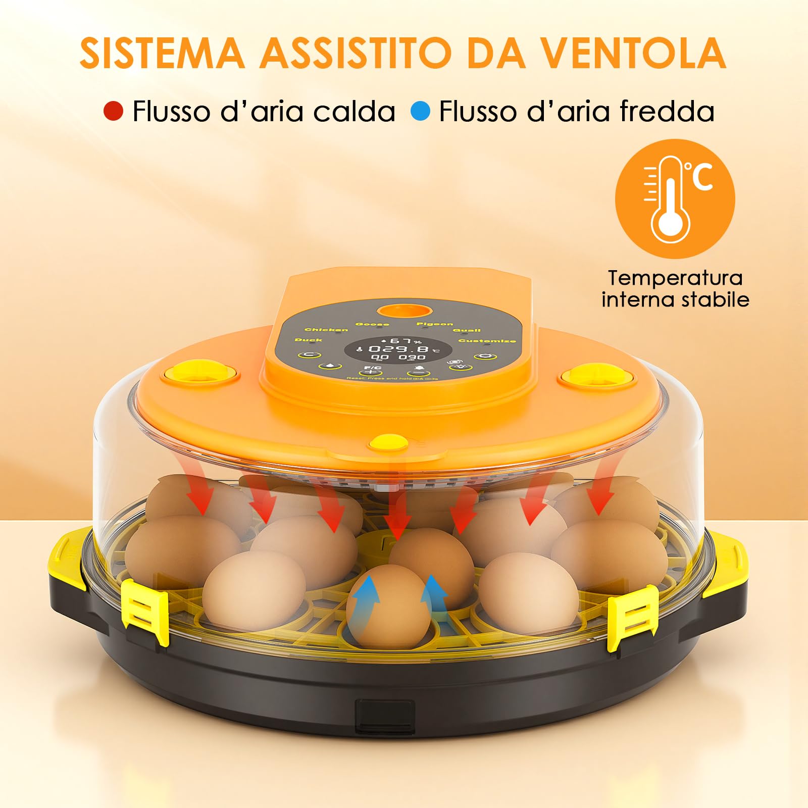 Incubatrice per Uova Automatica, Incubatrice 15 Uova Rotazione Automatica delle Uova, Controllo della Temperatura e dell’Umidità, Adatto all’Incubazione di Uova di Gallina, Anatra, Oca