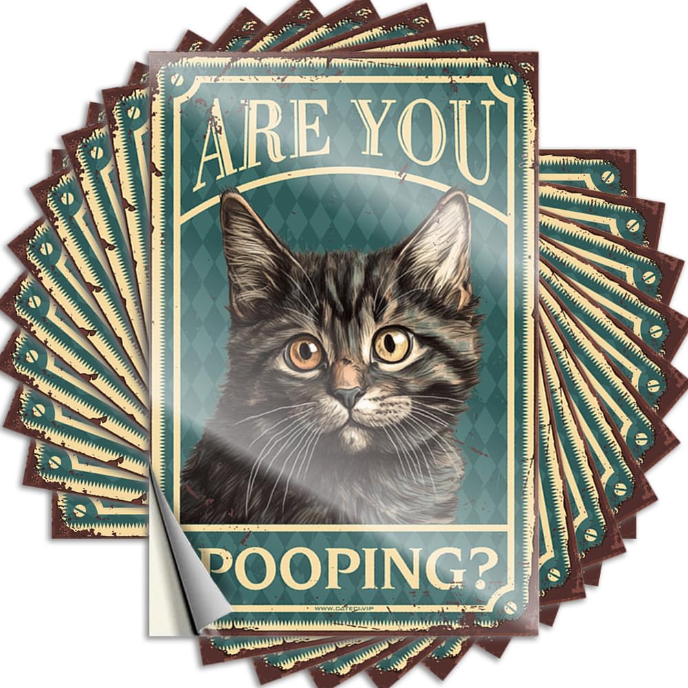 are You Pooping Encouraging Decal | Teenage Boy Room Decor Waterproof Vinyl Window Essentials Removable Decal Peel Stick(12X18CM)