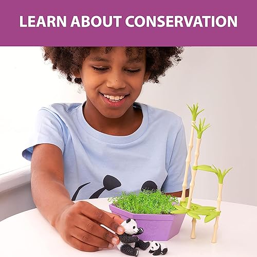 Miniatura 3 de Wild Scenes - Bosque de bambú de Pandas, kit de cultivo y juego, juguete de conservación de vida silvestre respetuoso con el medio ambiente, juego