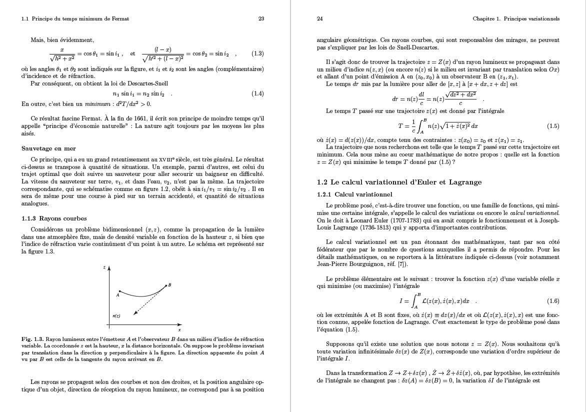 Principes variationnels de la physique: Cours et applications