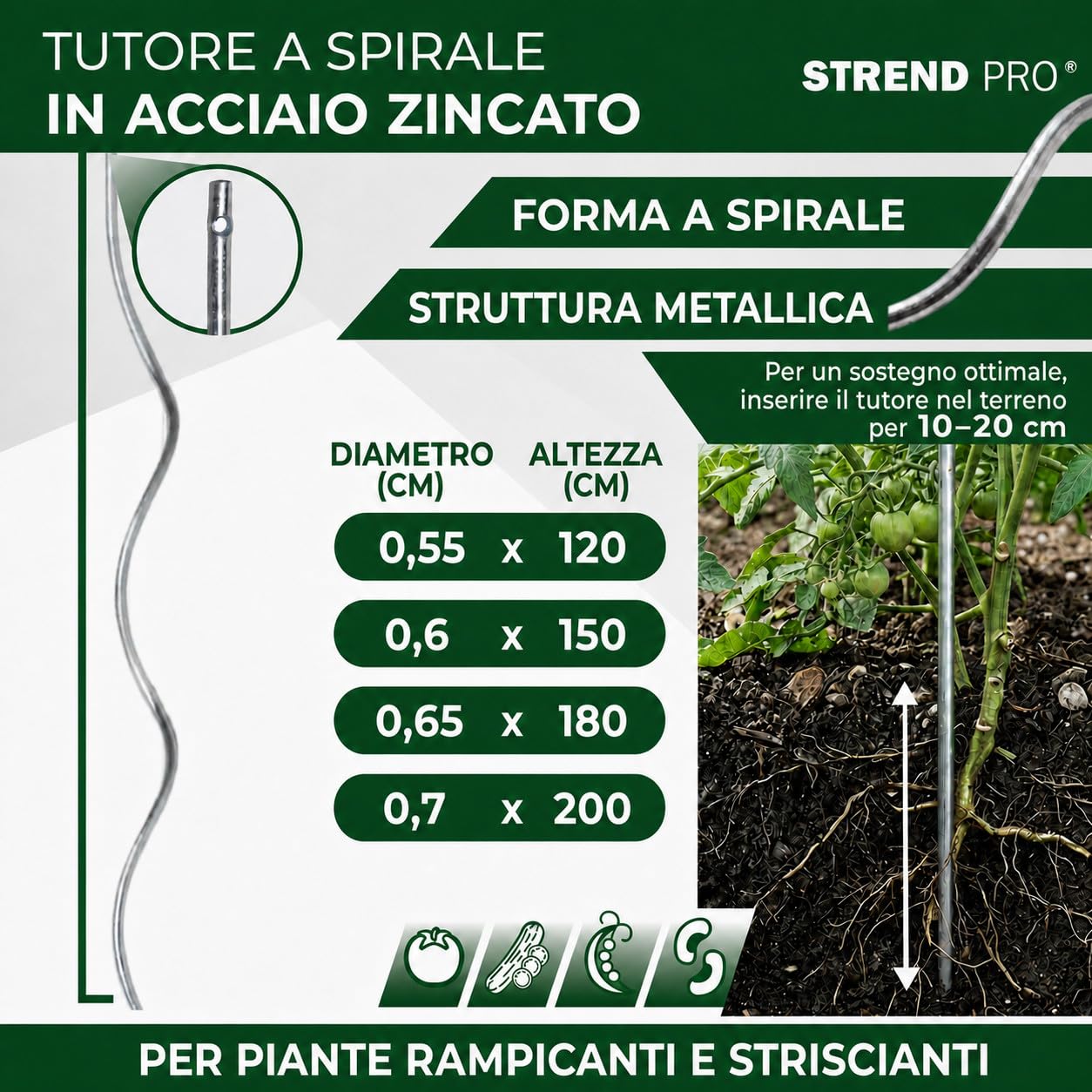STREND PRO Tutori a Spirale per Pomodori 200 cm, Set da 25 | Ø 7 mm, Acciaio Zincato | Sostegni per Rampicanti