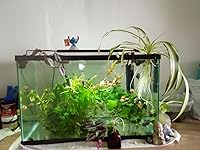 Review Image by Feral Housewife Feral Housewife