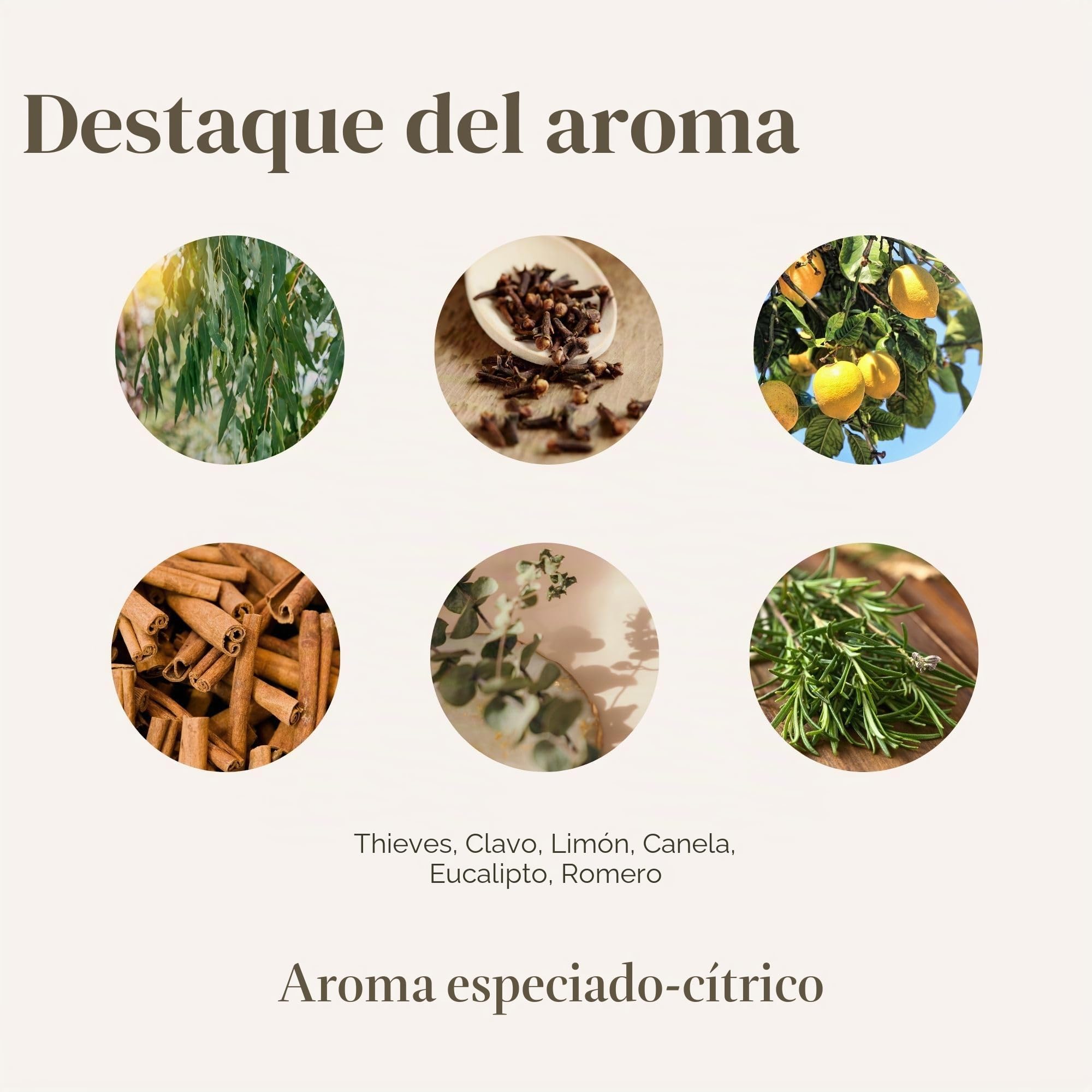 Los ladrones de Young Living – Limpiador hogar 14,4 120 ml