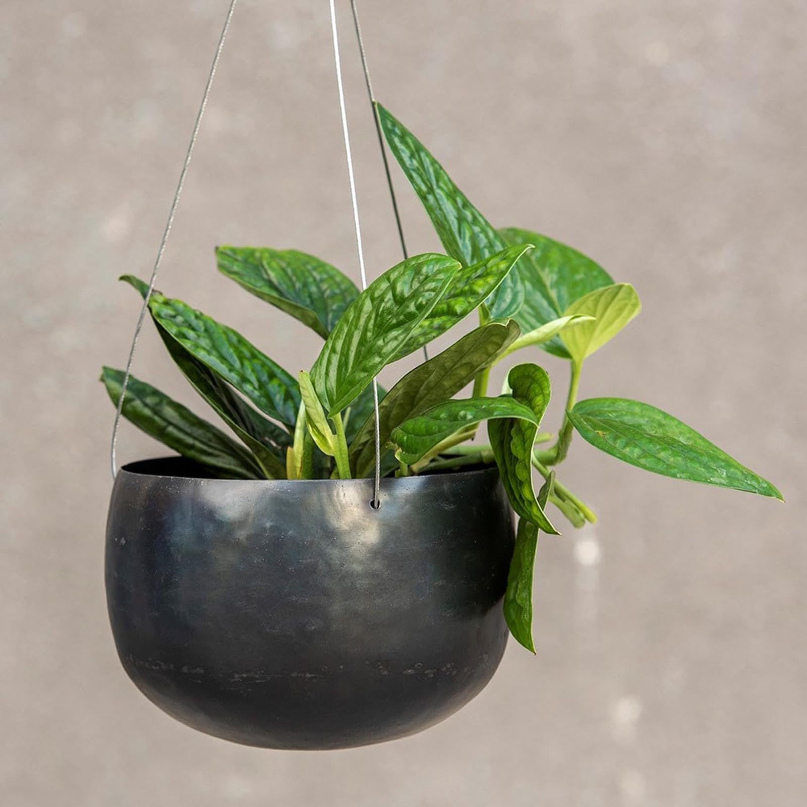 Crocus Collection 20cm Metal Hanging Basket Planter Indoor Flower Pot for Trailing Foliage Plants Hammered Steel