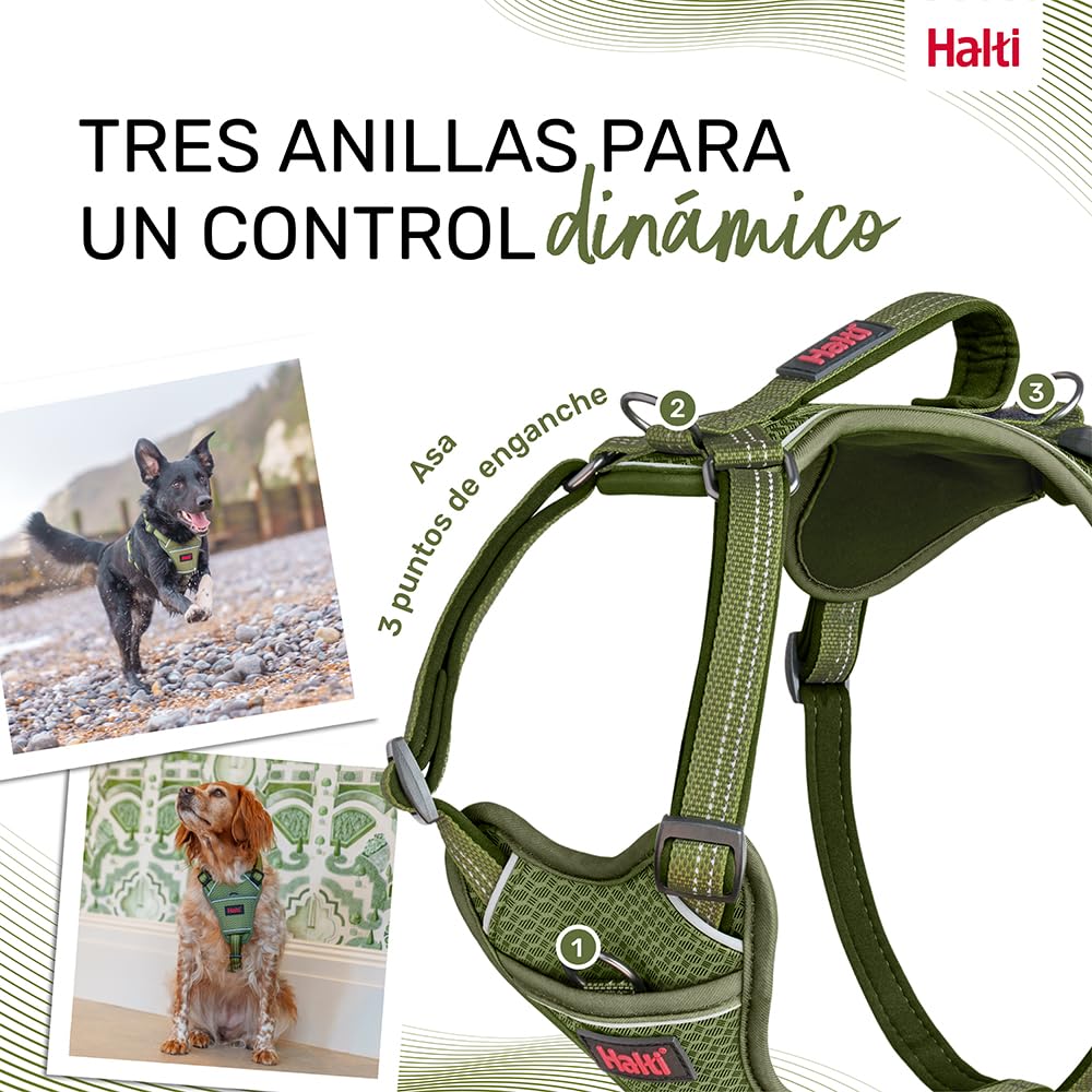 Arnés de Perro HALTI Anatomy con asa - Proporciona Libertad de Movimiento a tu Perro para Que pasee cómodamente. 3 Puntos de Enganche y Acolchado de Neopreno, Ajustable y Reflectante (Talla M, Verde) — view 5