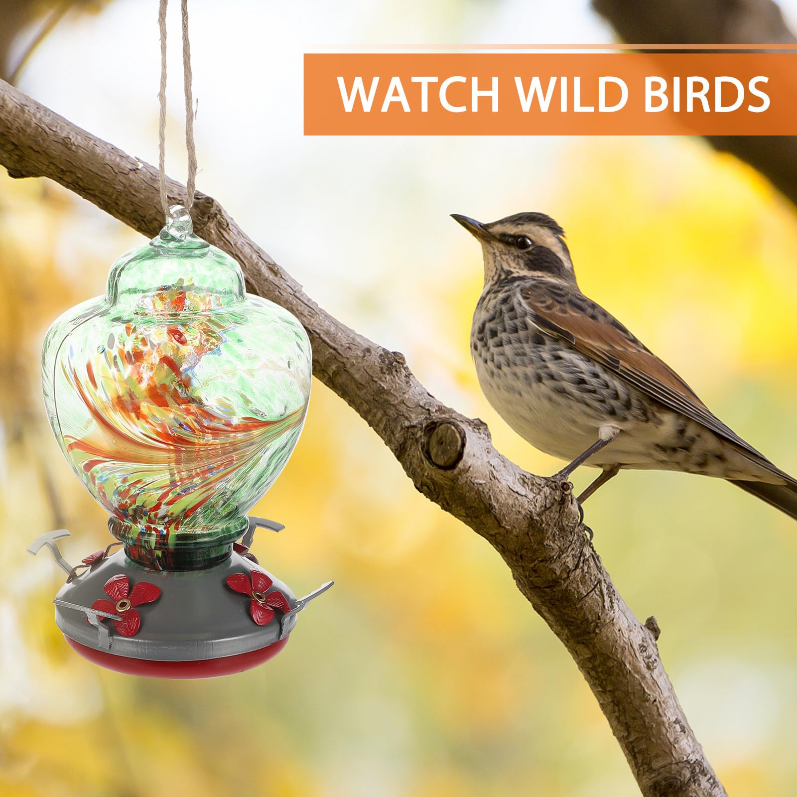 Comedero de Pájaros de Vidrio Atrae Colibríes, Verde